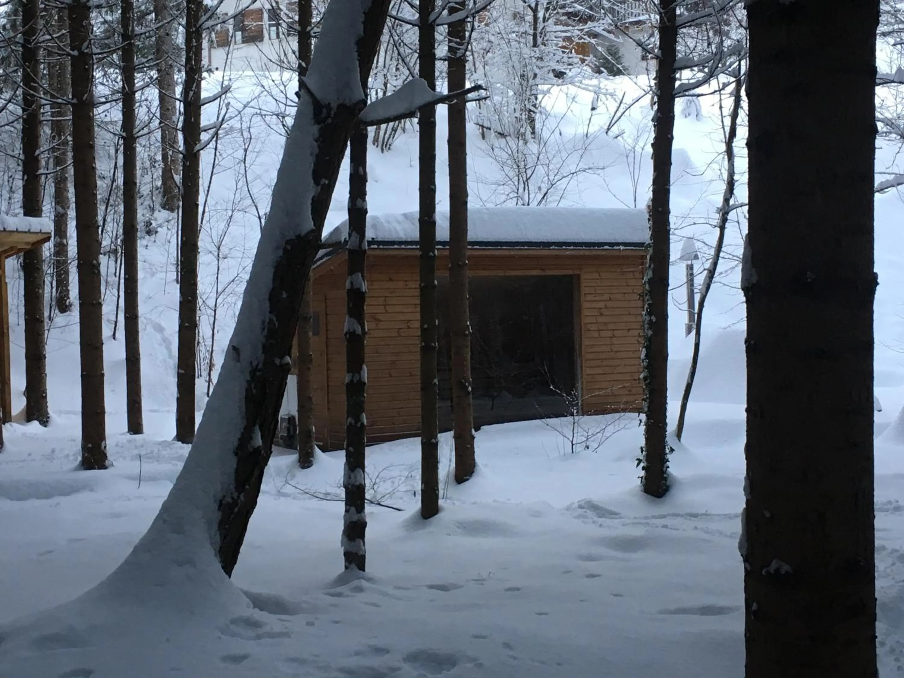 Sauna in Alla Casetta B&B
