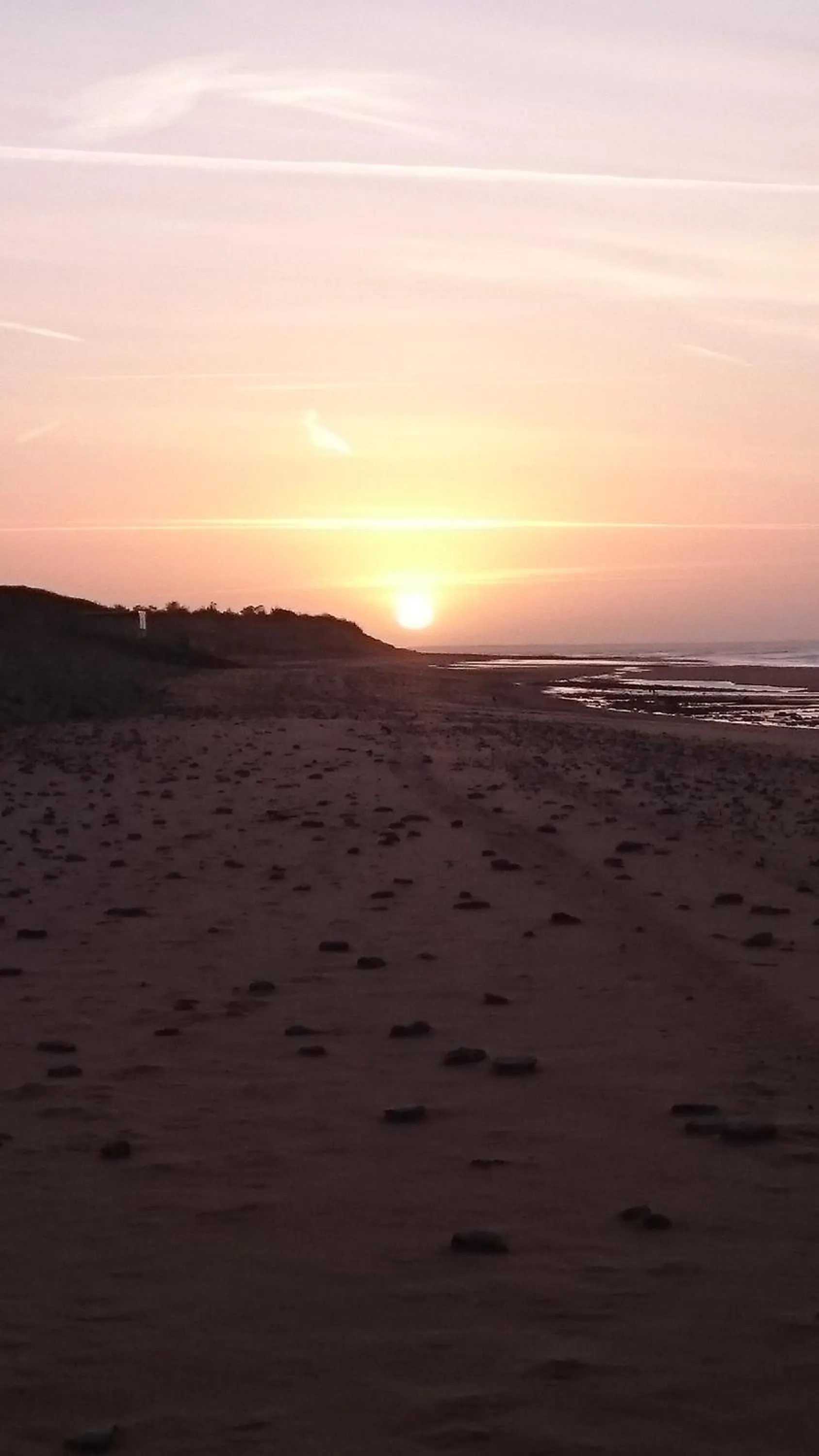 View (from property/room) in Au Petit Bonheur