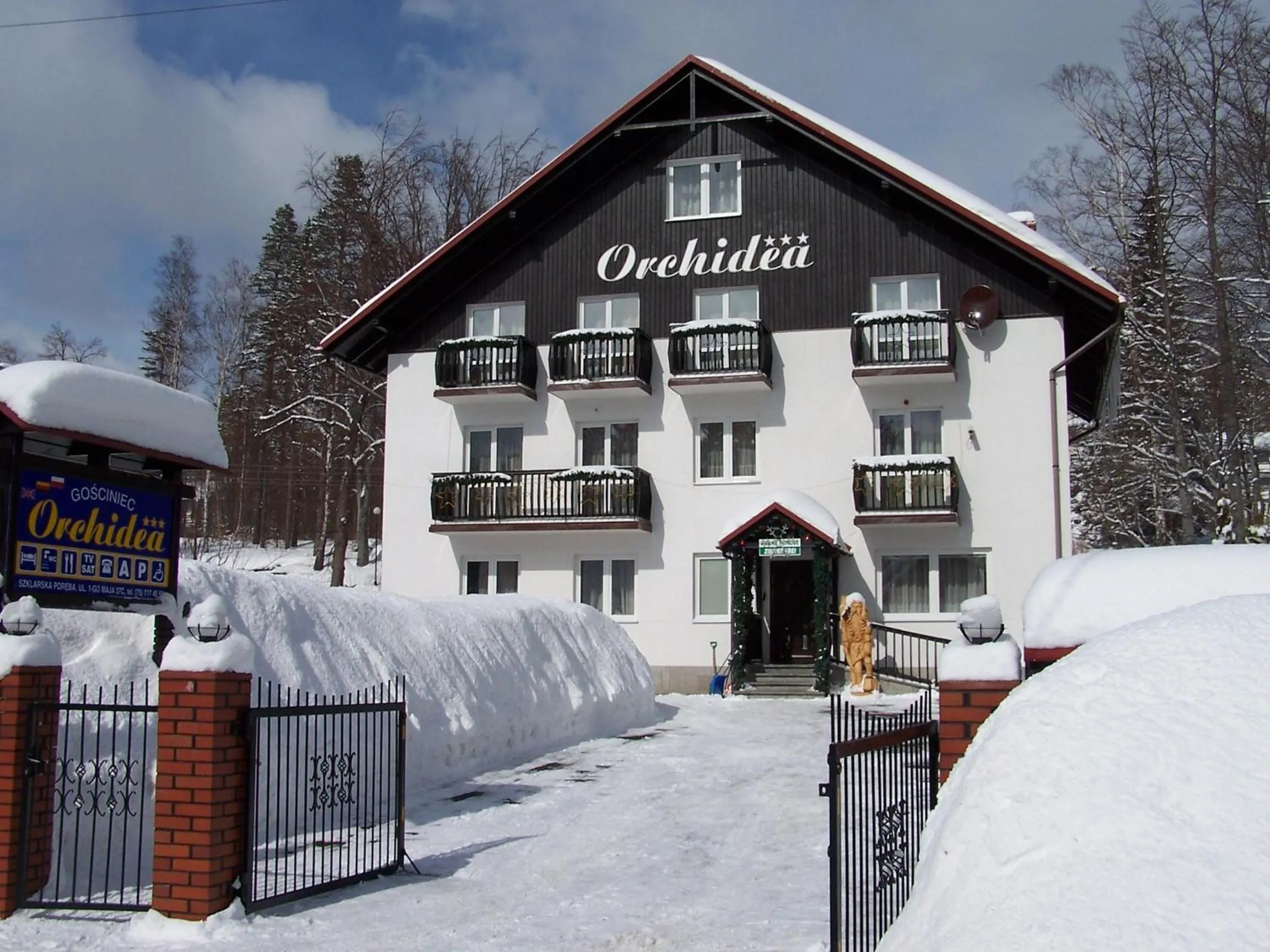 Winter in Orchidea