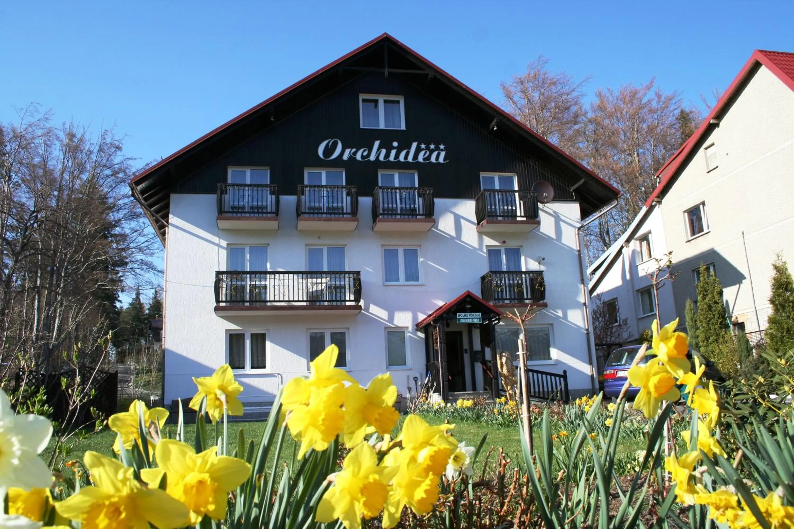Property building in Orchidea