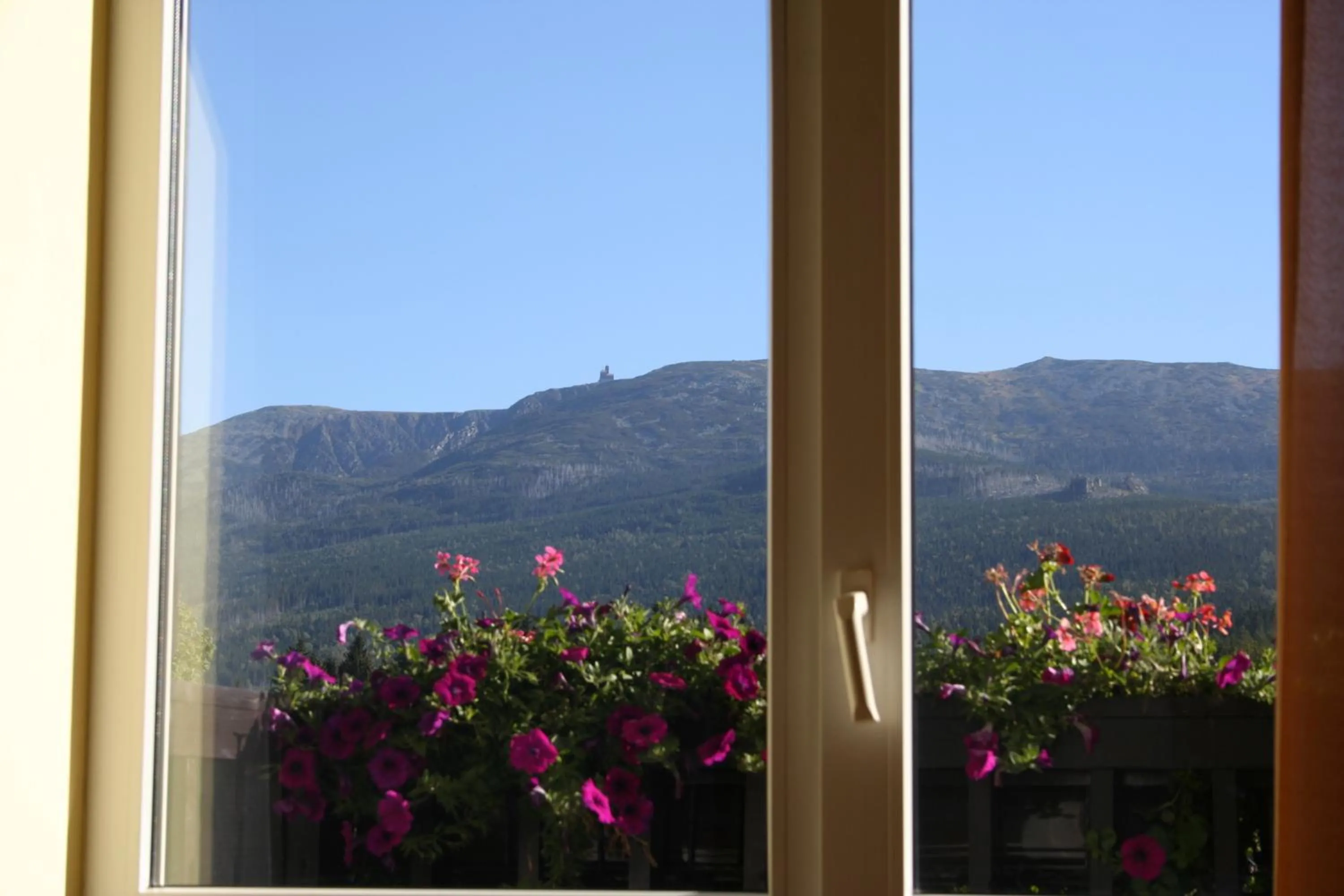 Mountain view in Orchidea