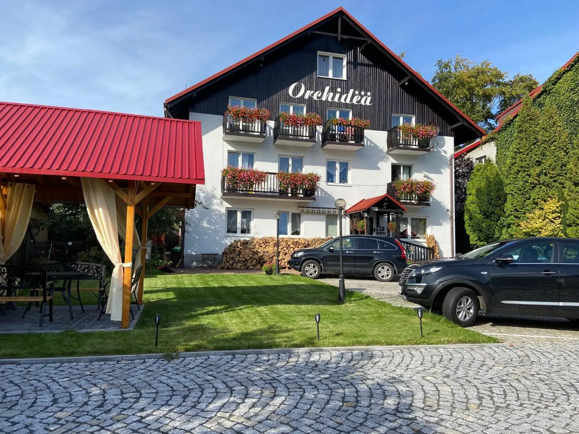 Orchidea Orchidea