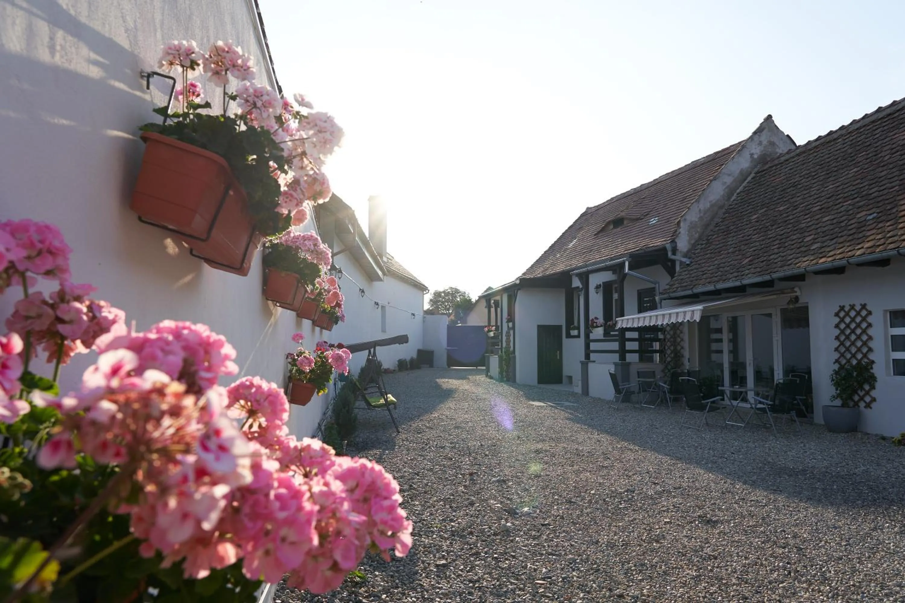 Decorative detail in Pensiunea Alina "Adults Only"