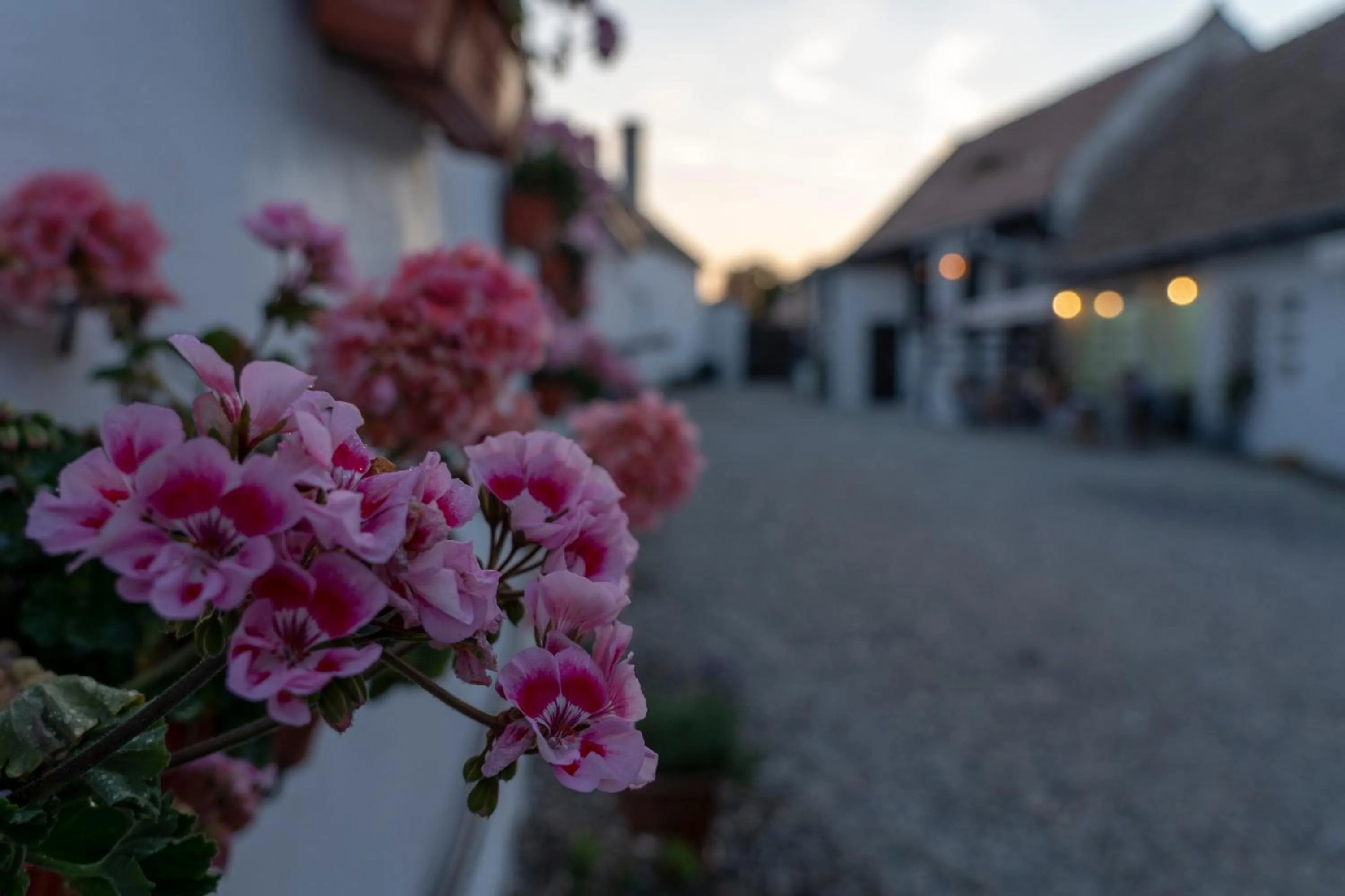 Decorative detail in Pensiunea Alina "Adults Only"