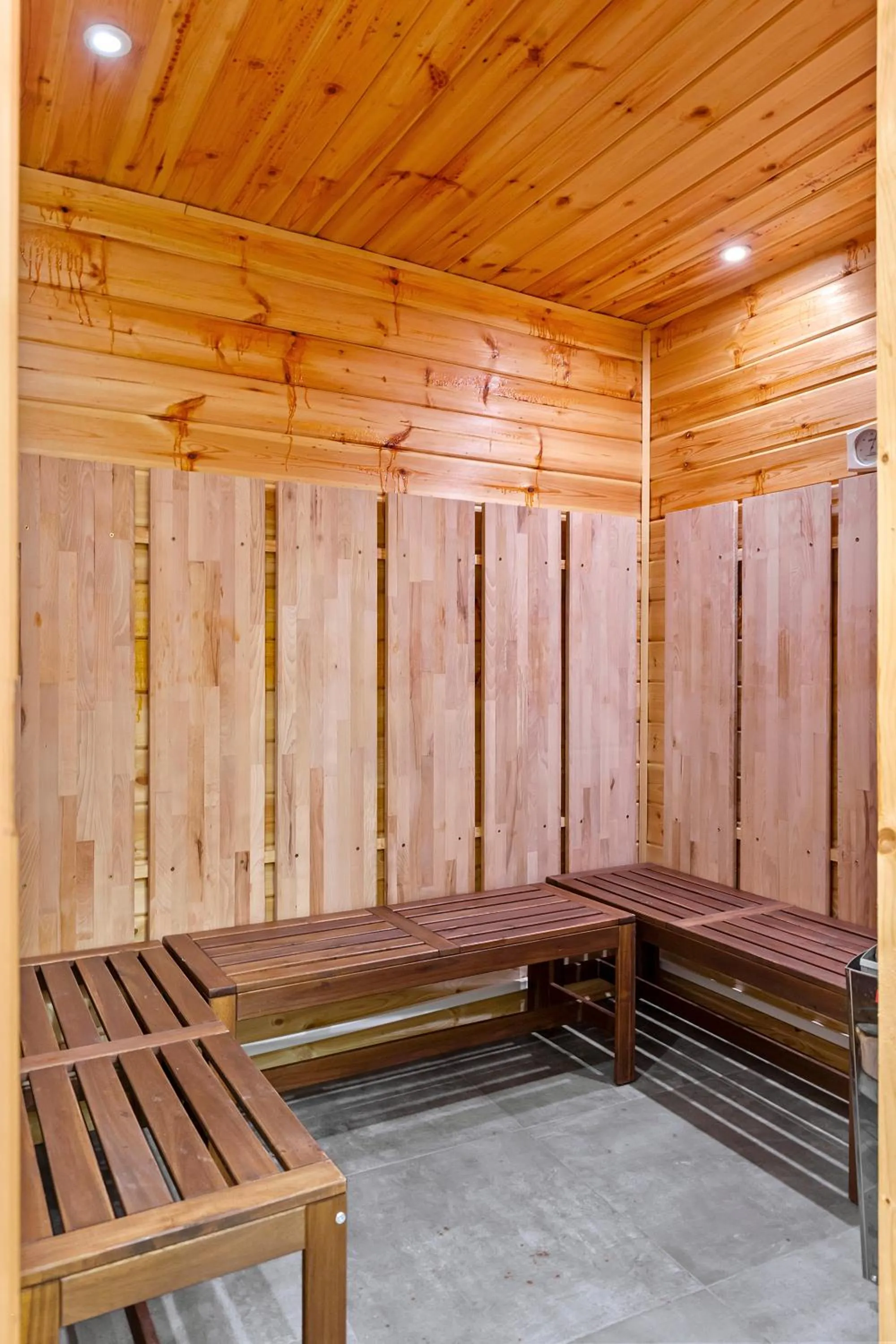 Sauna in Pensiunea Alina "Adults Only"