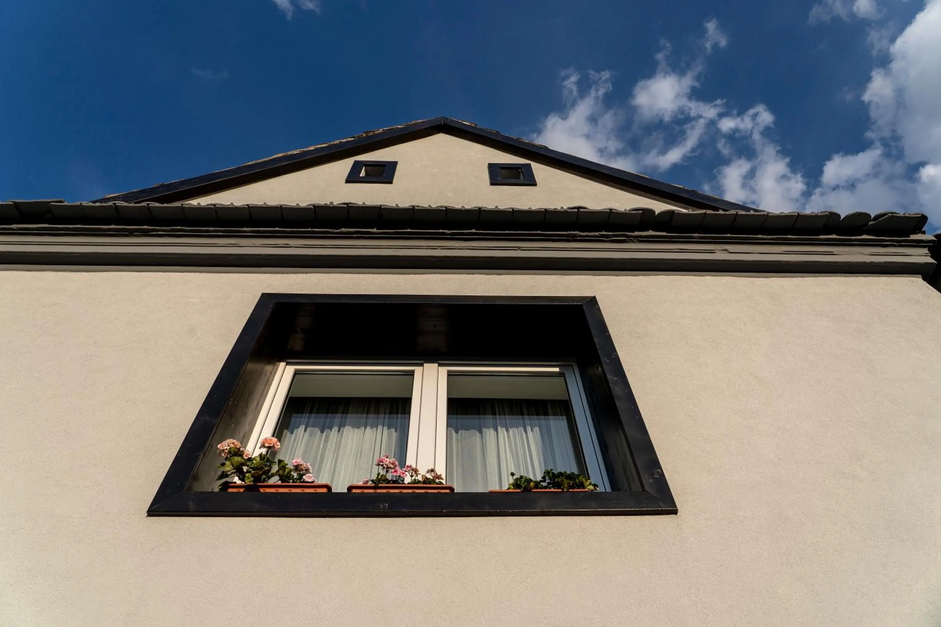 Facade/entrance in Pensiunea Alina "Adults Only"