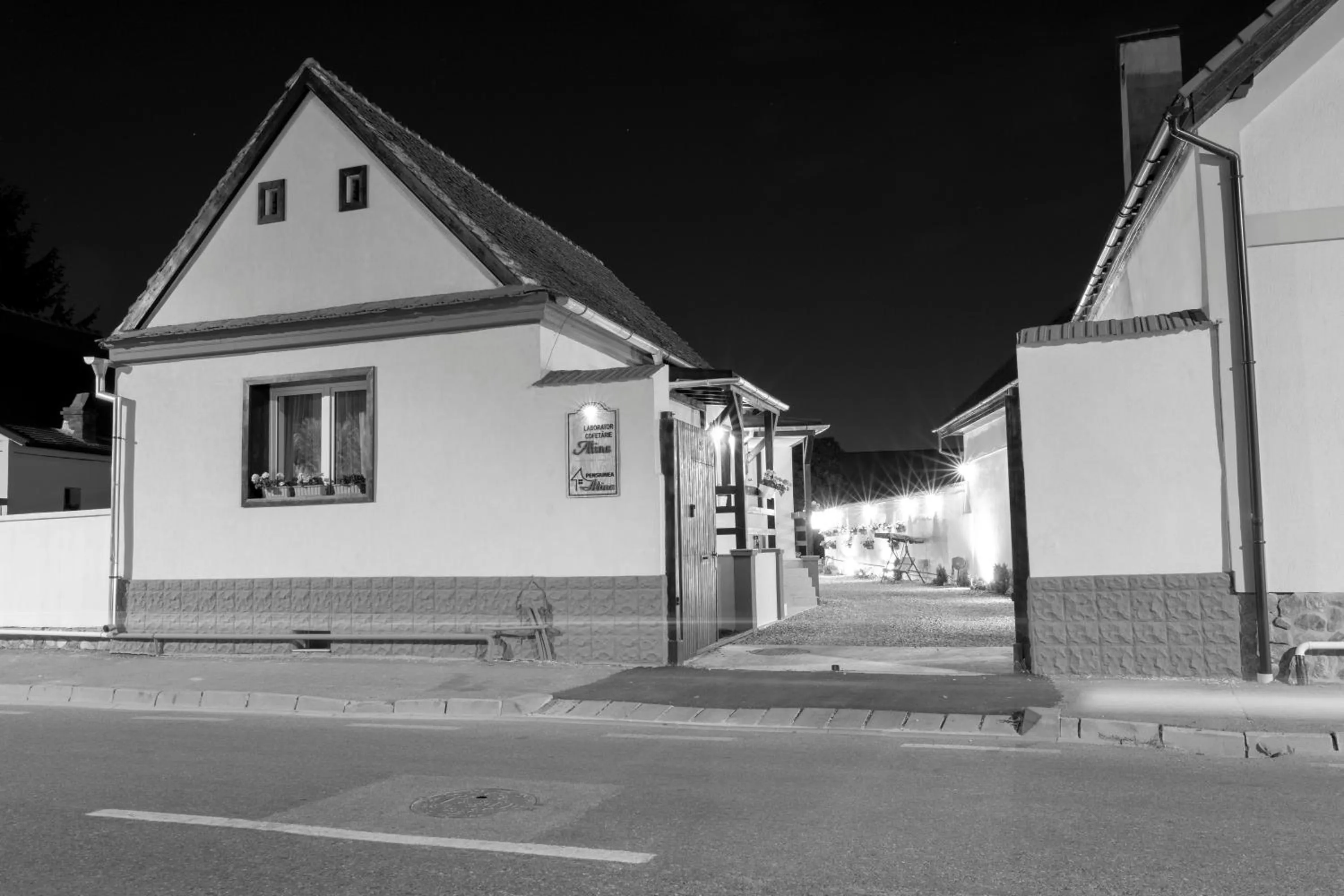 Facade/entrance in Pensiunea Alina "Adults Only"