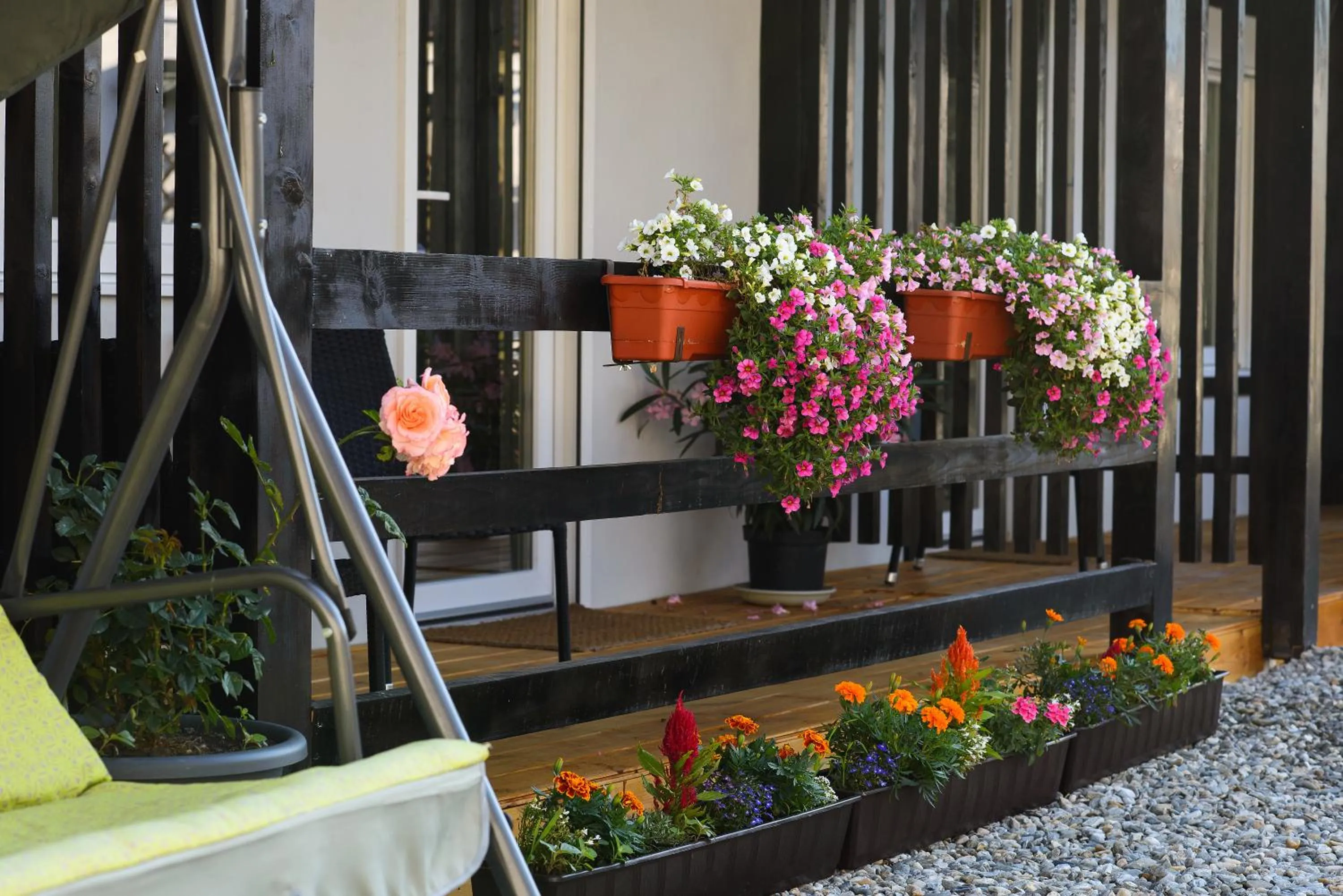 Property building in Pensiunea Alina "Adults Only"