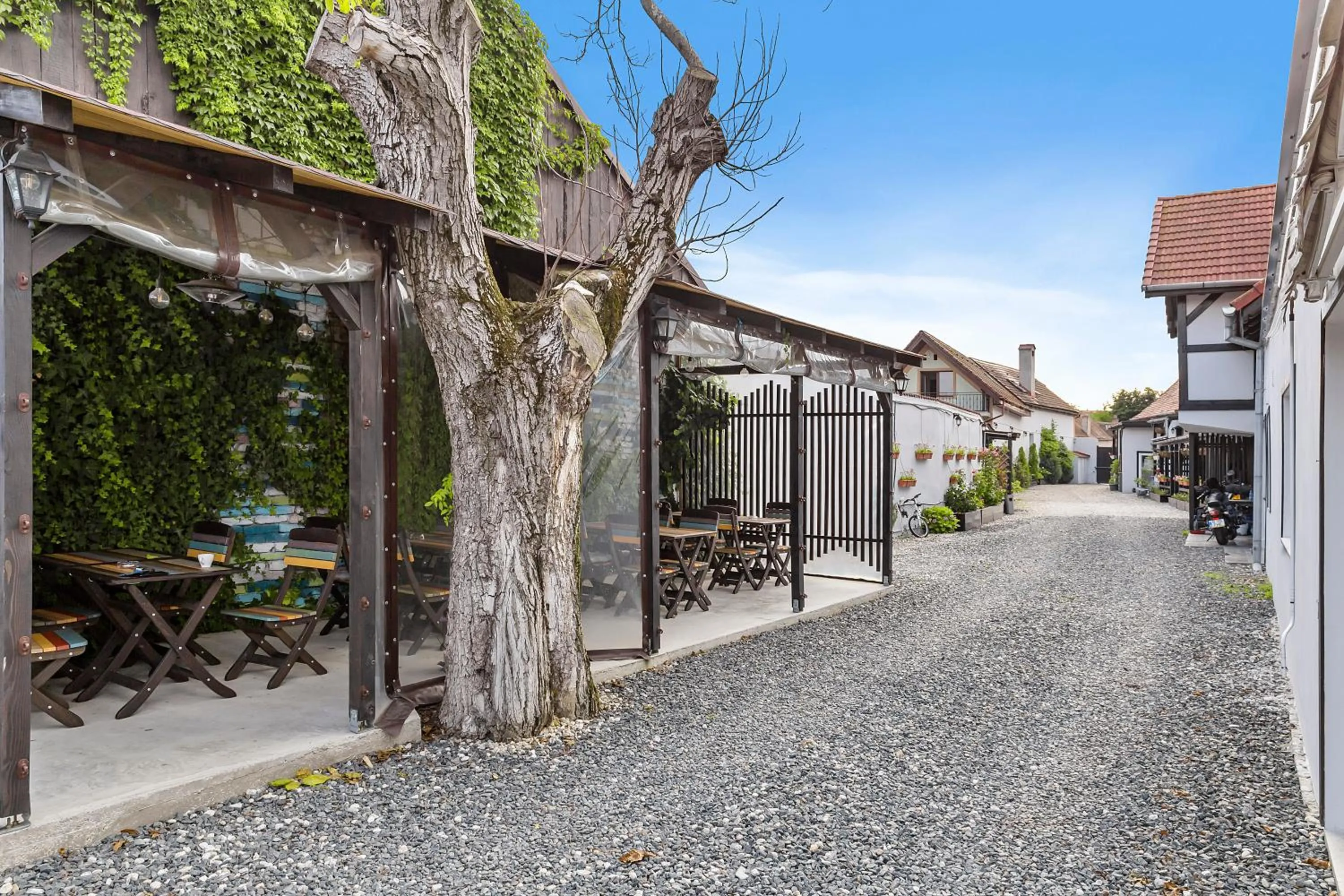 Balcony/Terrace in Pensiunea Alina "Adults Only"