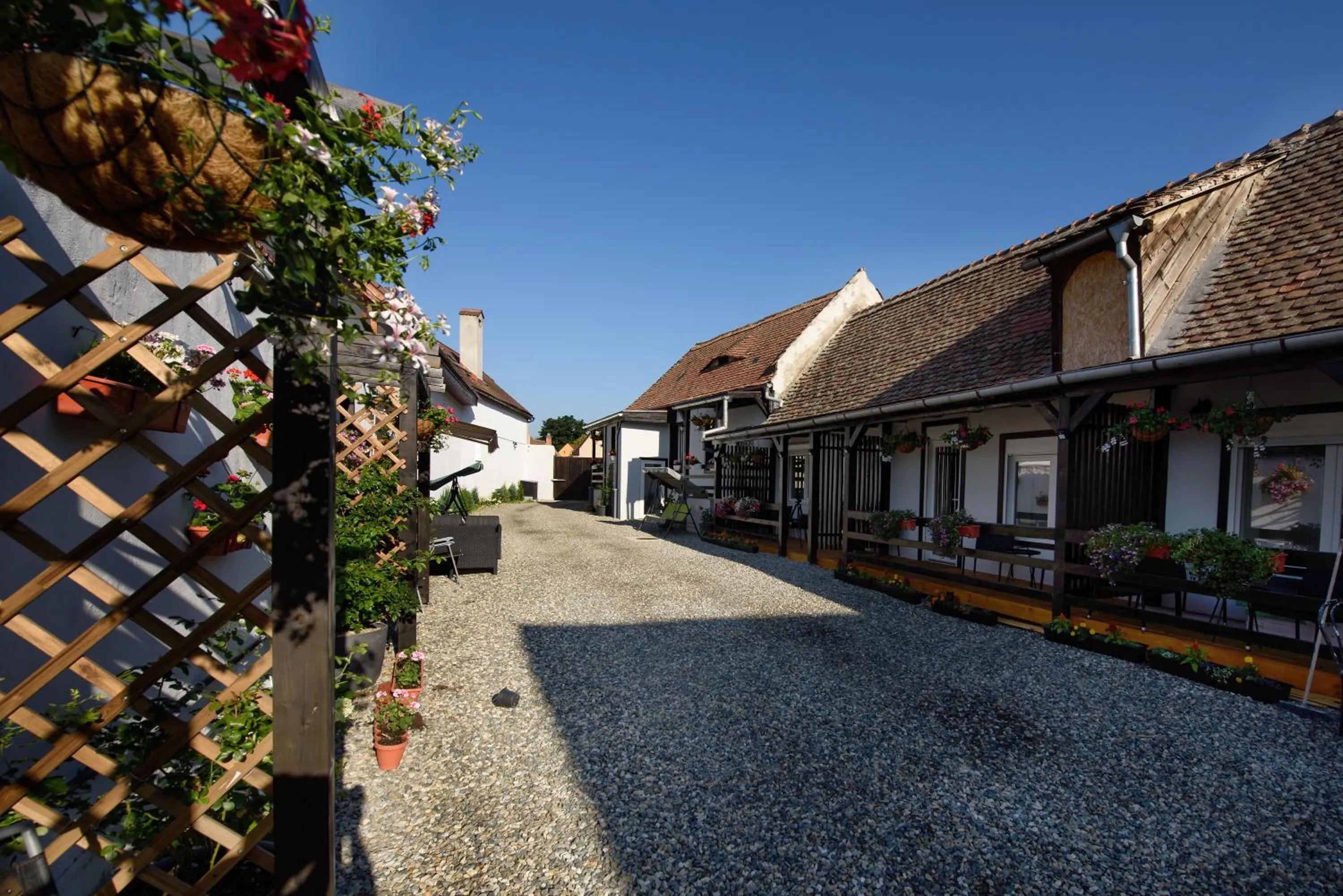 Property building in Pensiunea Alina "Adults Only"