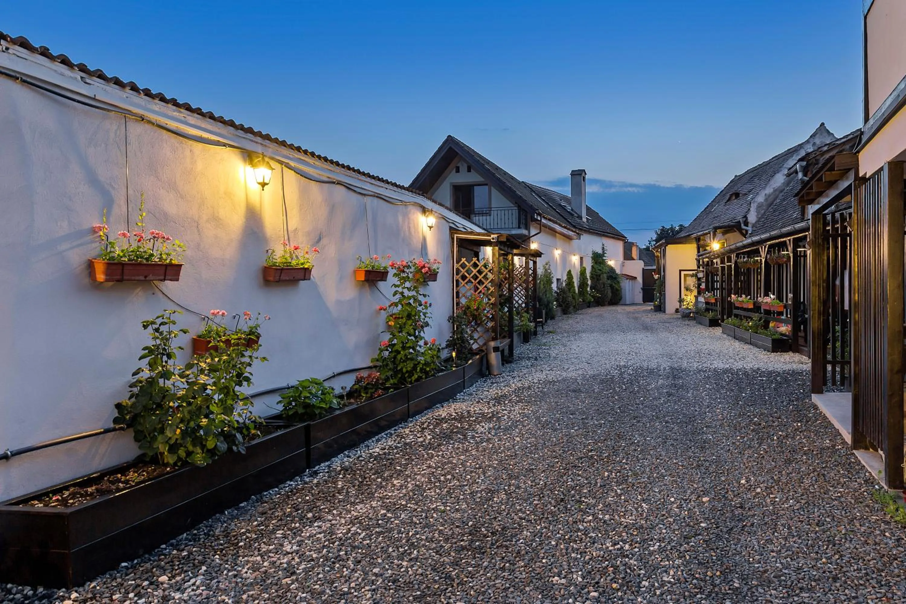 Inner courtyard view in Pensiunea Alina "Adults Only"