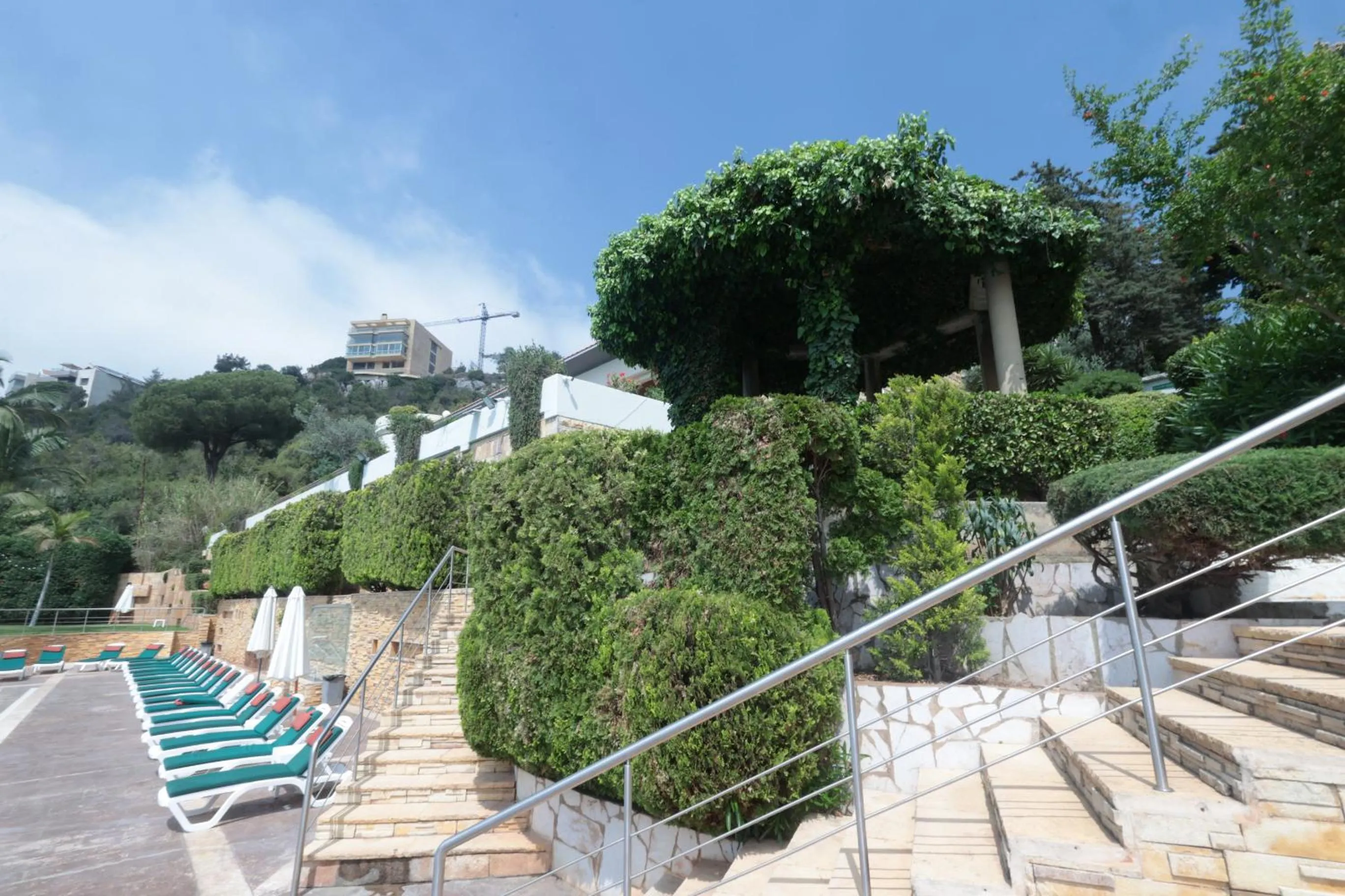 Natural landscape in Monteverde Hotel