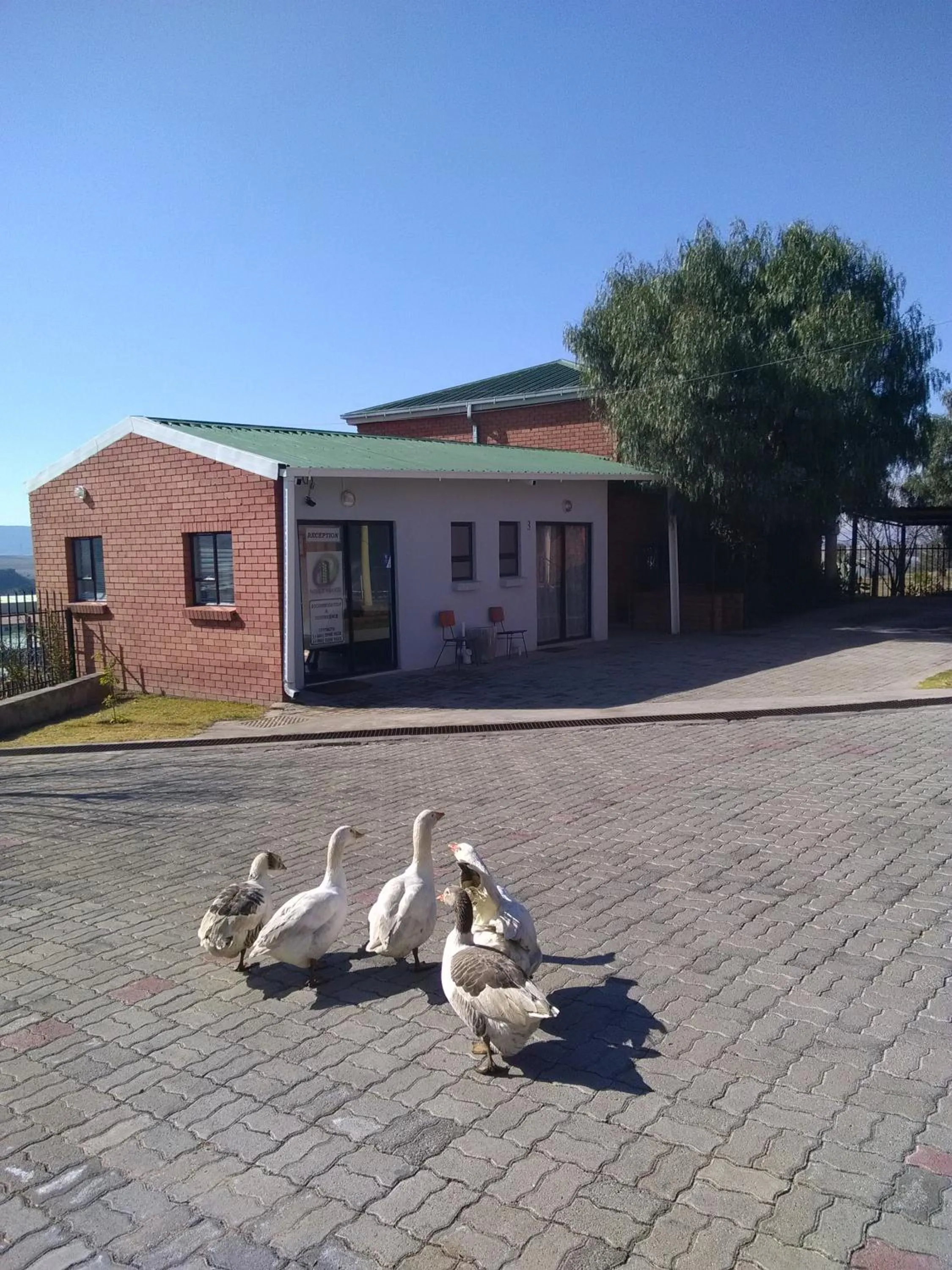 Pets in Noble Hearts Bed & Breakfast