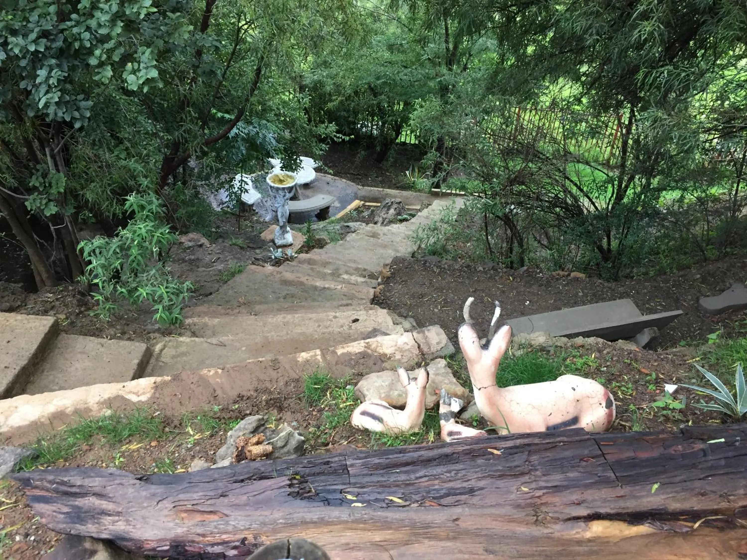 Area and facilities in Noble Hearts Bed & Breakfast