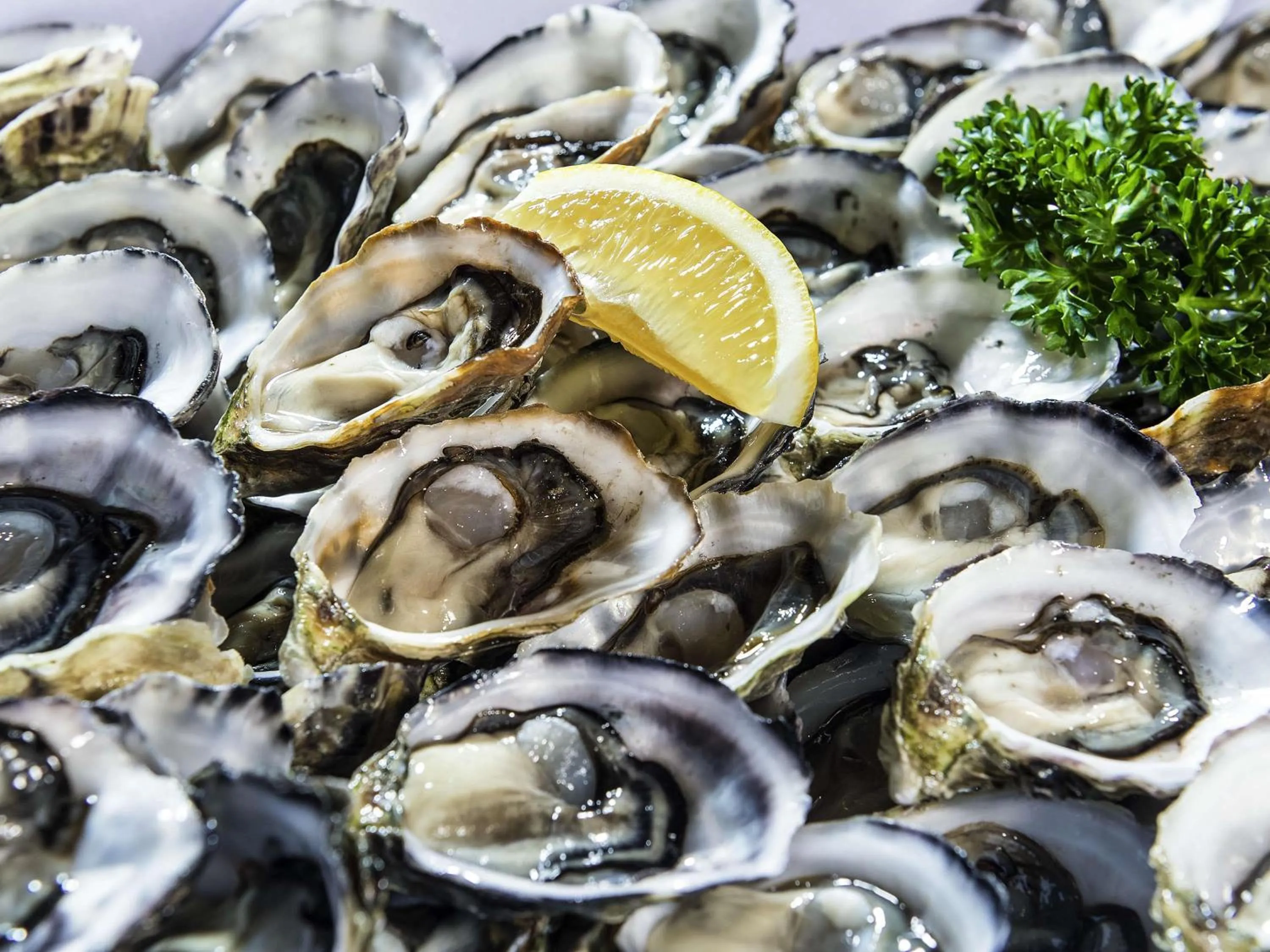 Restaurant/places to eat in Novotel Surfers Paradise