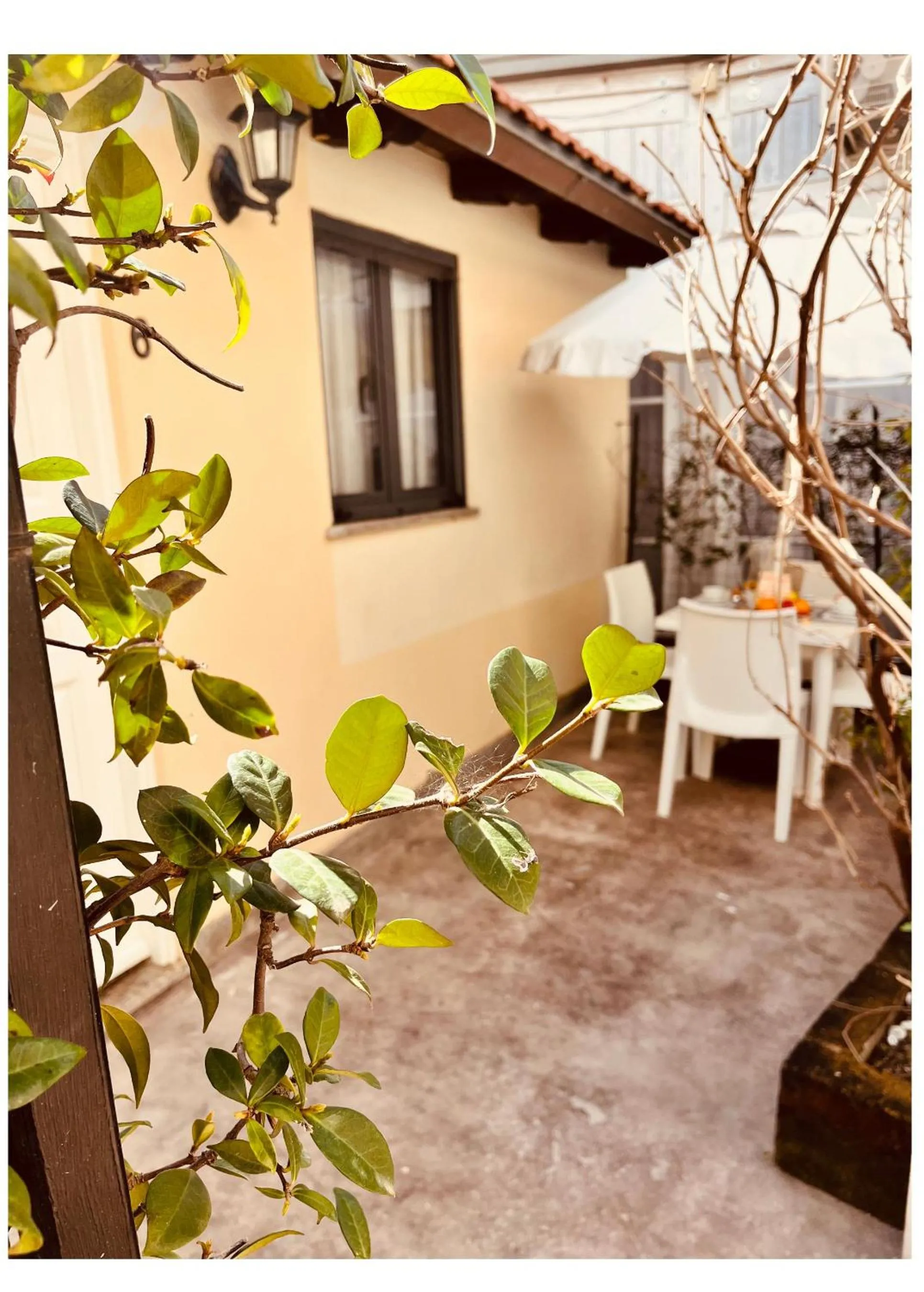 Property building in Hotel La Torraccia