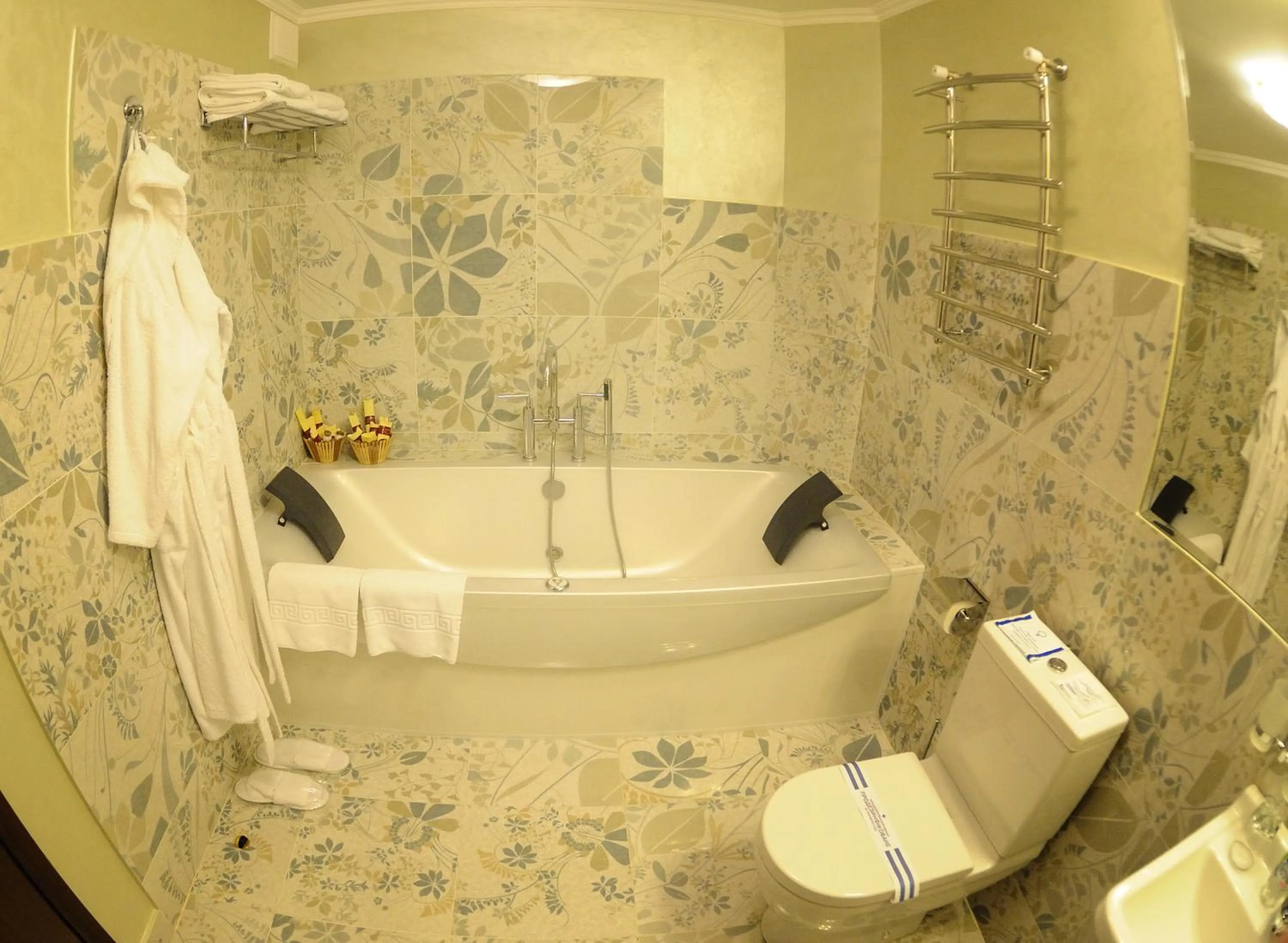 Hotel Mir