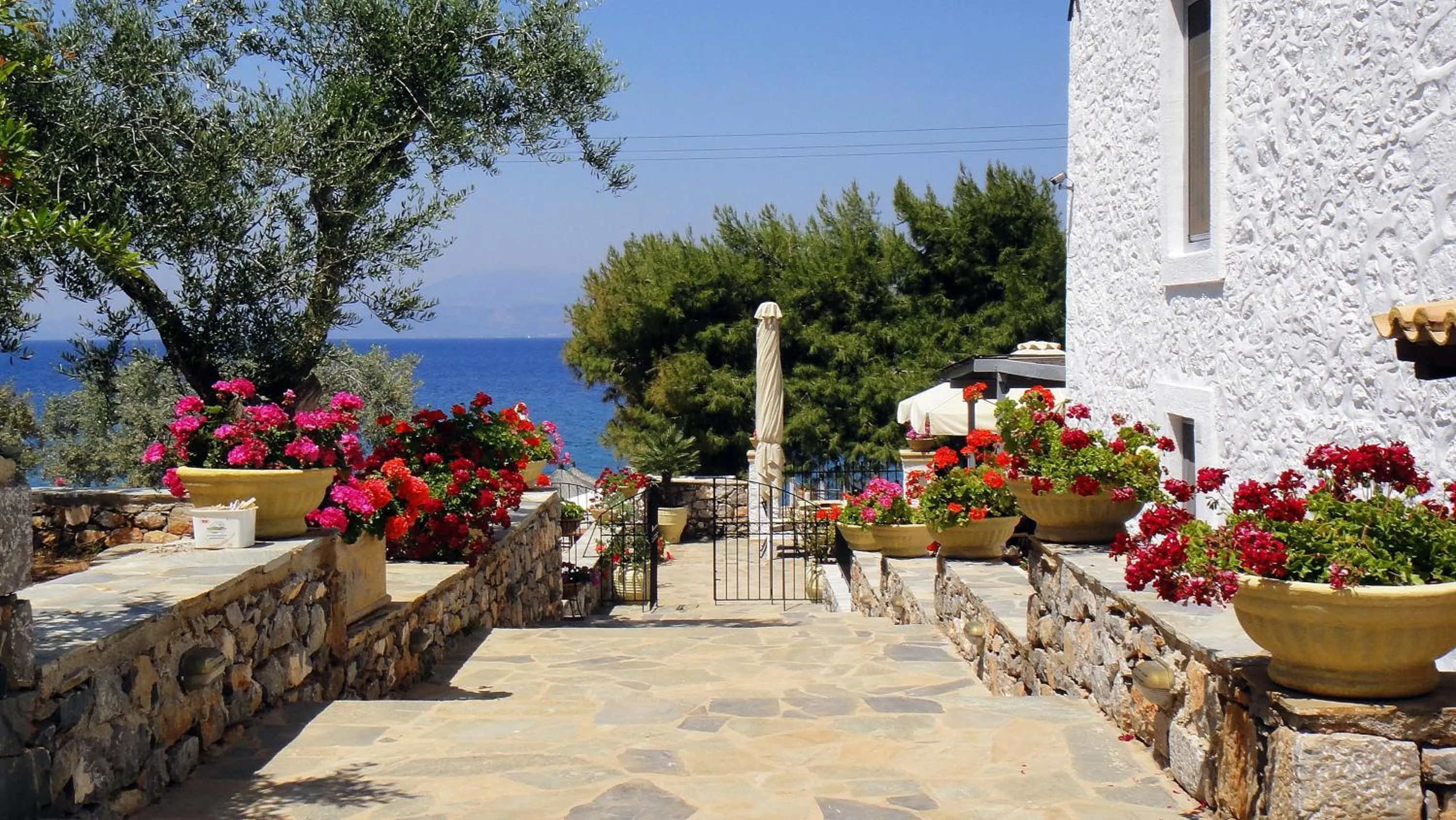 Day in Bellevalia Hydra - Formerly Four Seasons Hydra