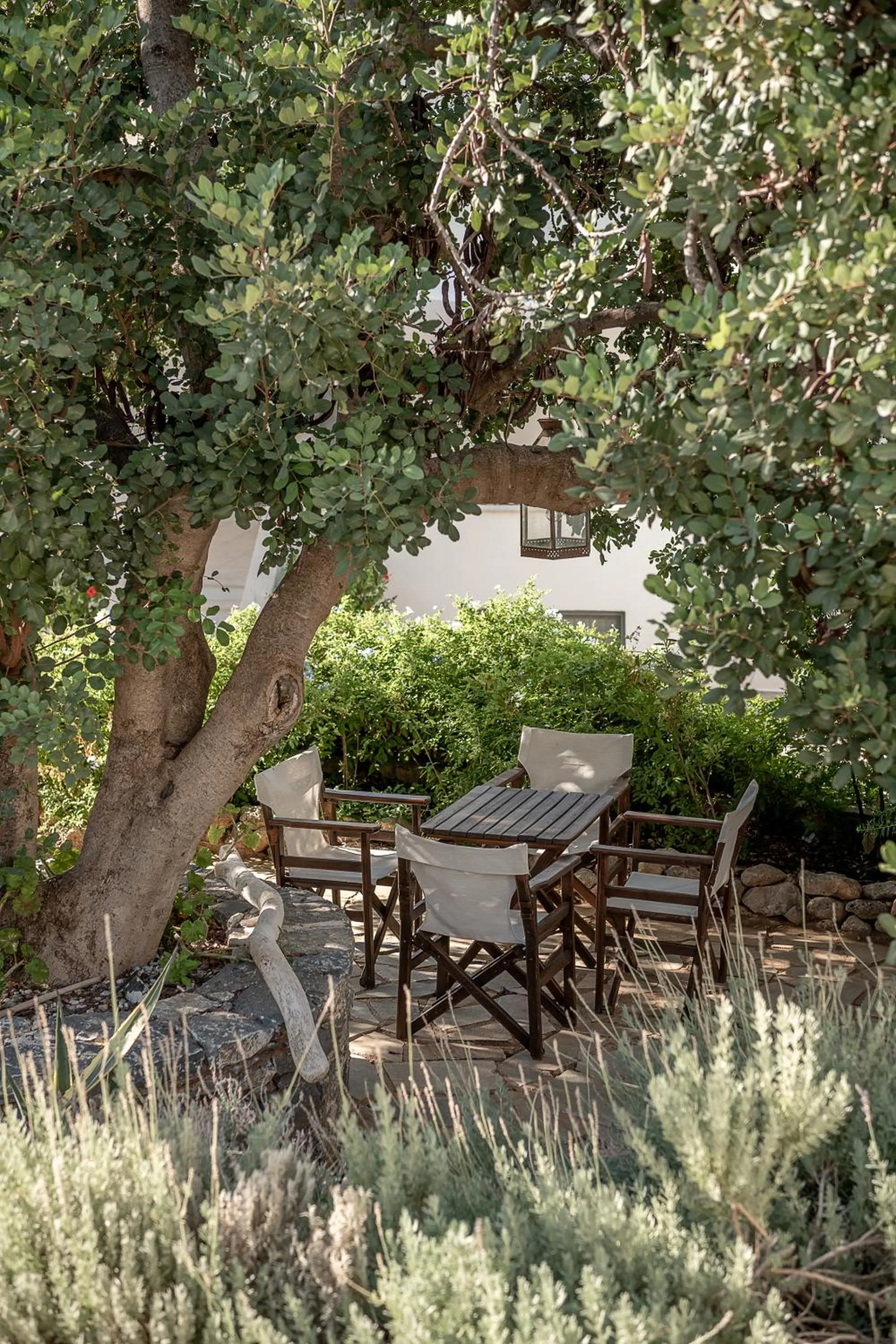 Garden in Bellevalia Hydra - Formerly Four Seasons Hydra