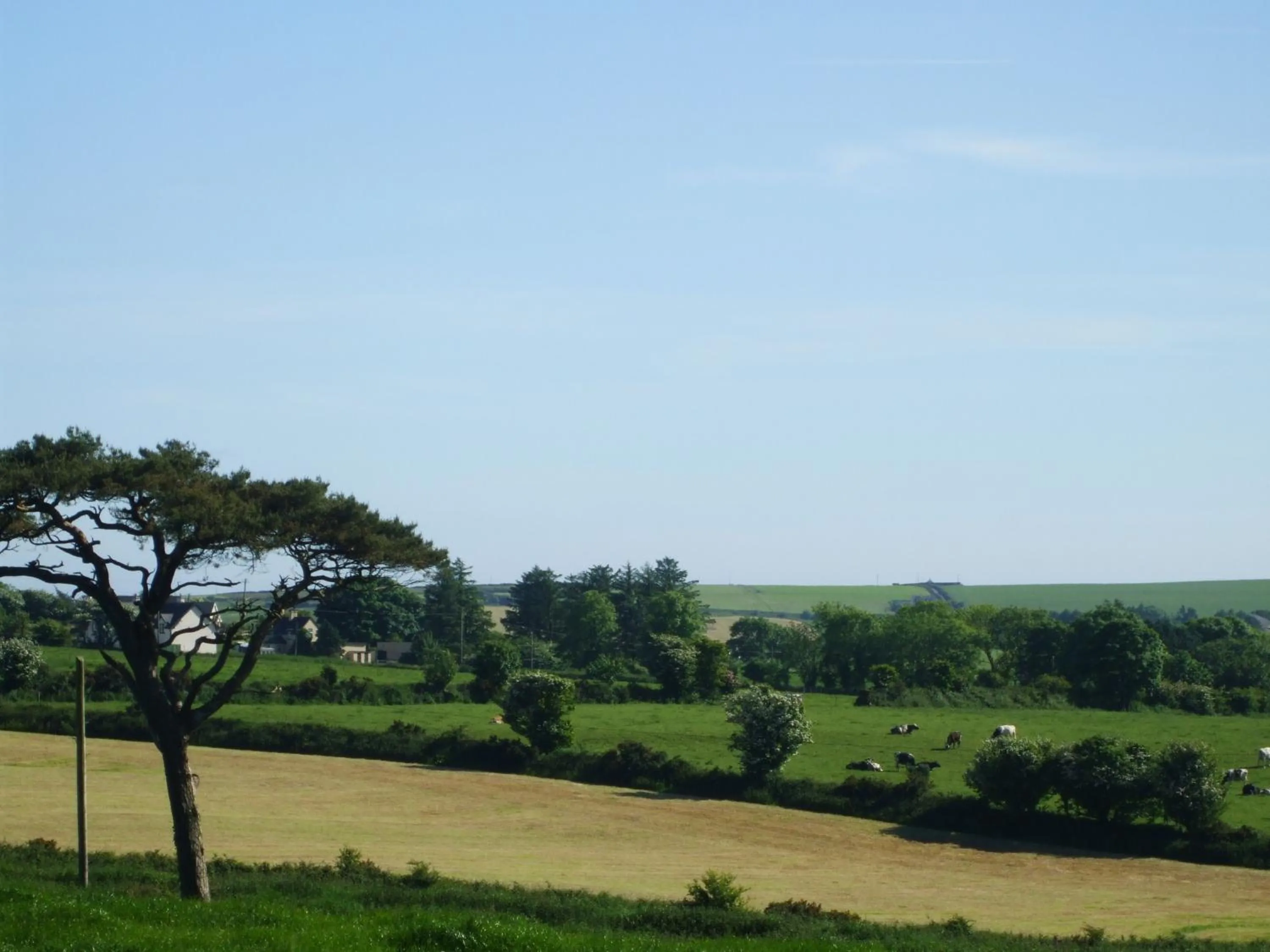 Natural landscape in The Brown Hen Guest Accommodation