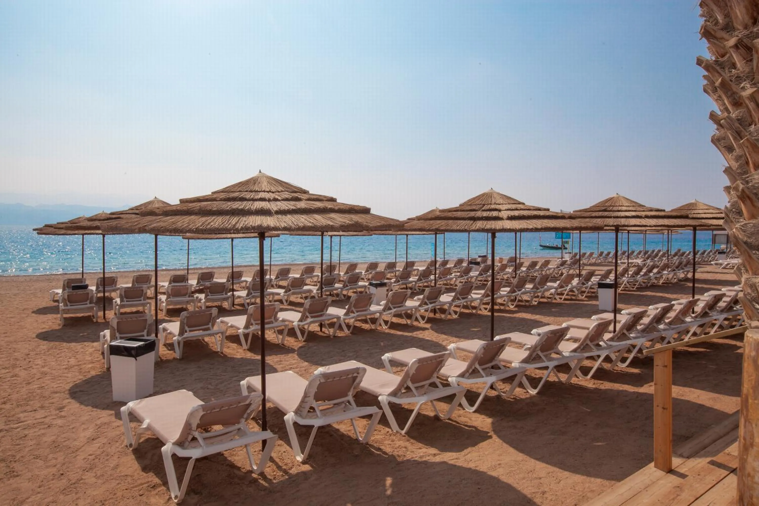 Beach in U Coral Beach Club Eilat – Ultra All inclusive