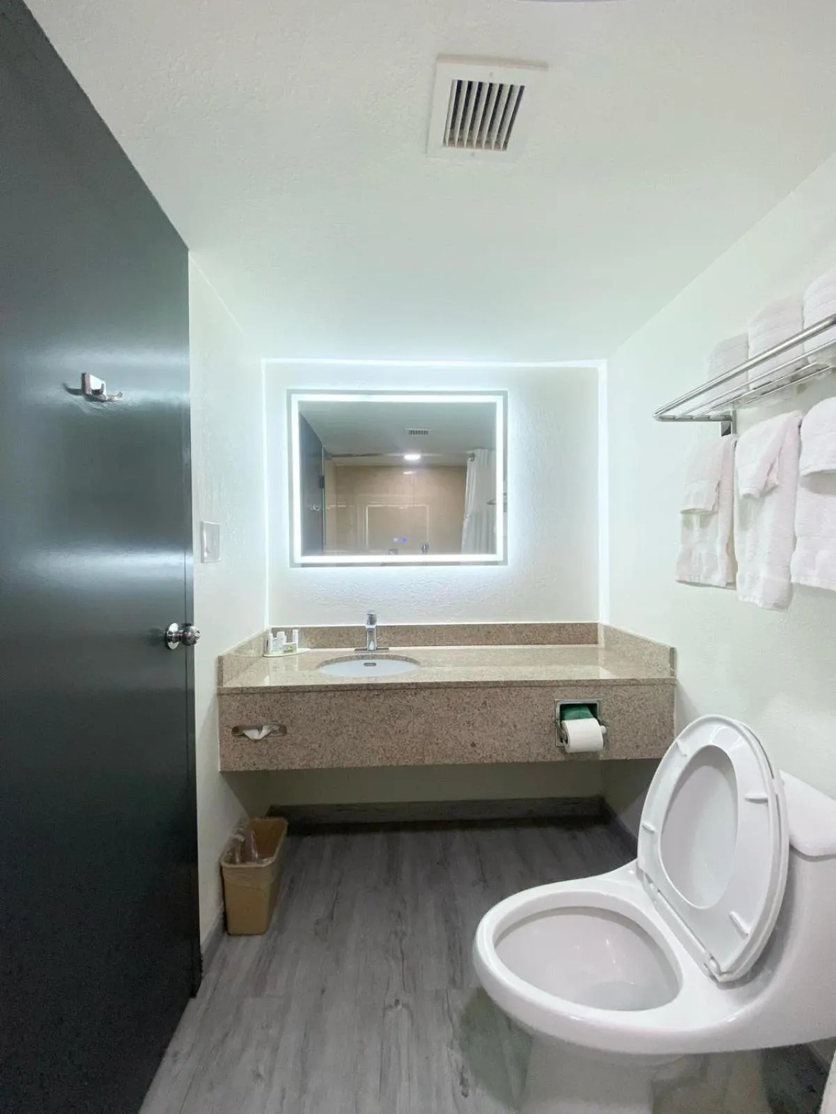 Toilet in Ramada by Wyndham Tuscaloosa