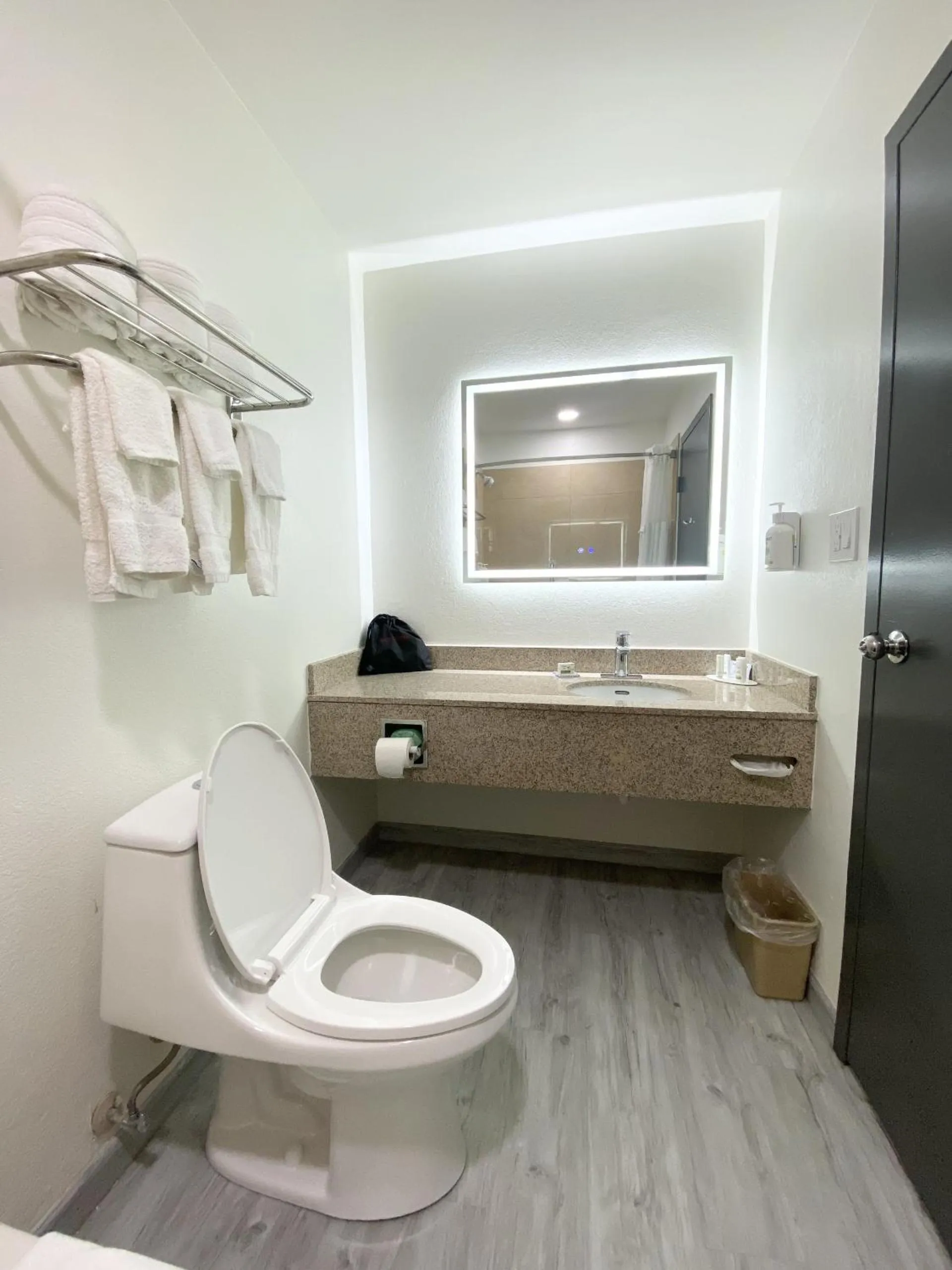 Toilet in Ramada by Wyndham Tuscaloosa