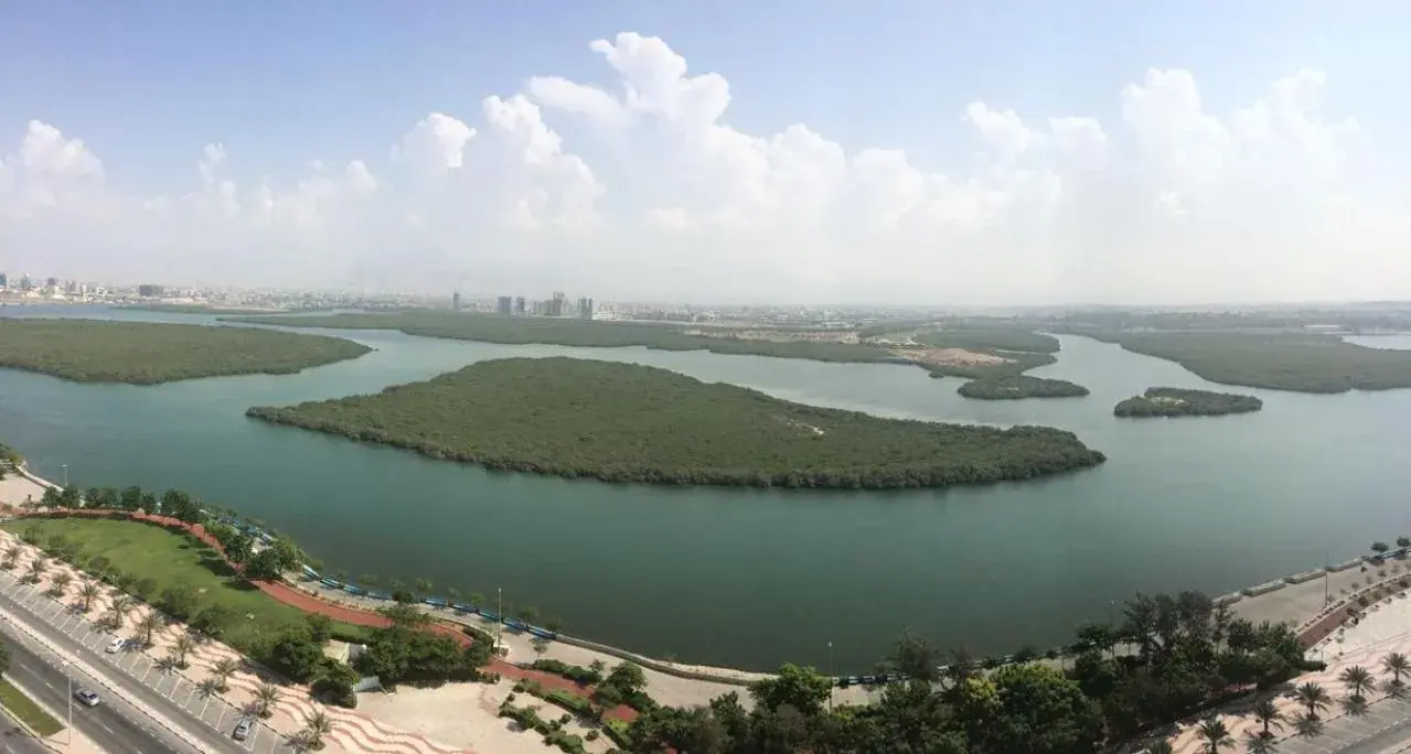 Bird's eye view, Bird's-eye View in Mangrove Hotel - Ras al Khaimah