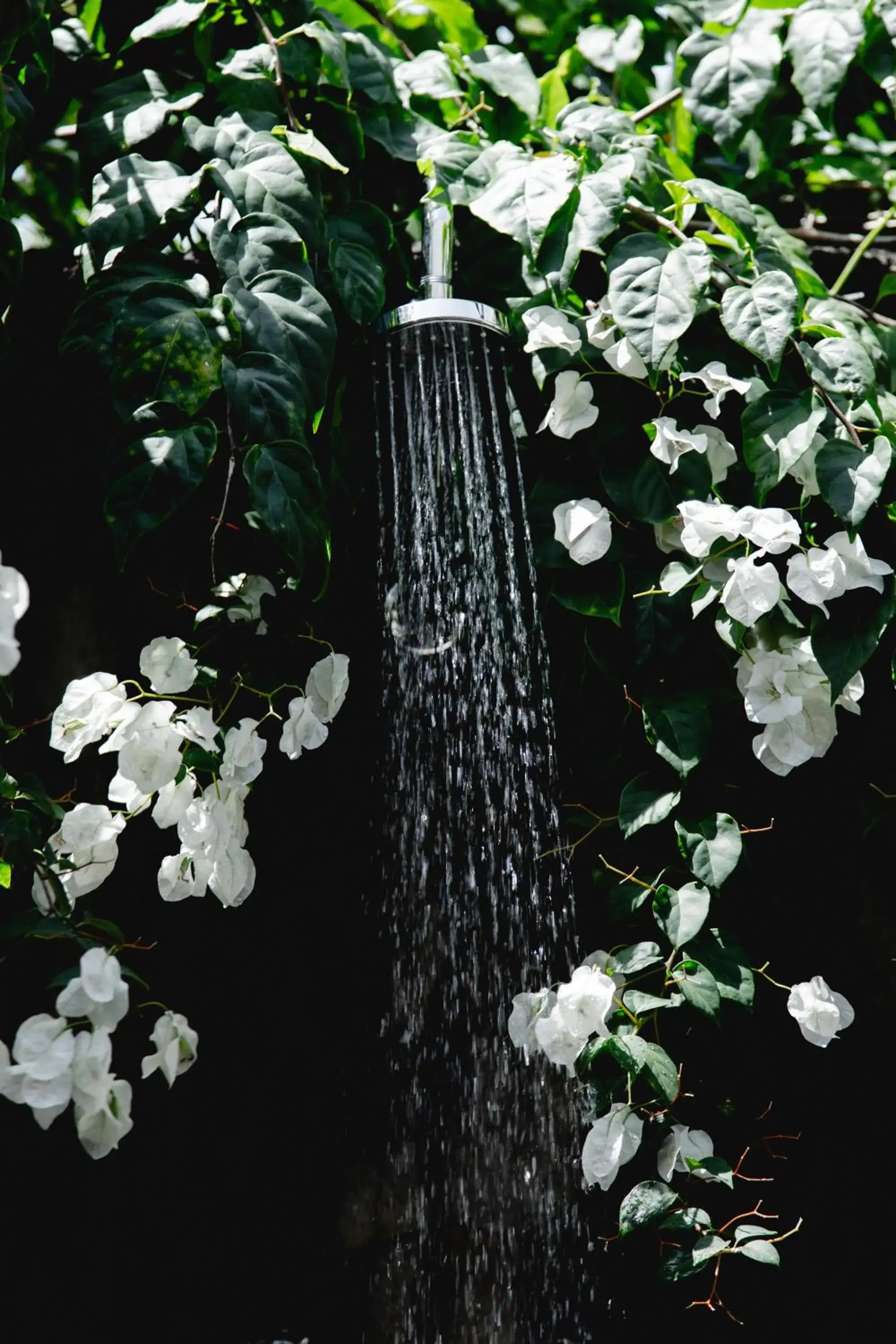 Property building in REVĪVŌ Wellness Resort Nusa Dua Bali Property building in REVĪVŌ Wellness Resort Nusa Dua Bali