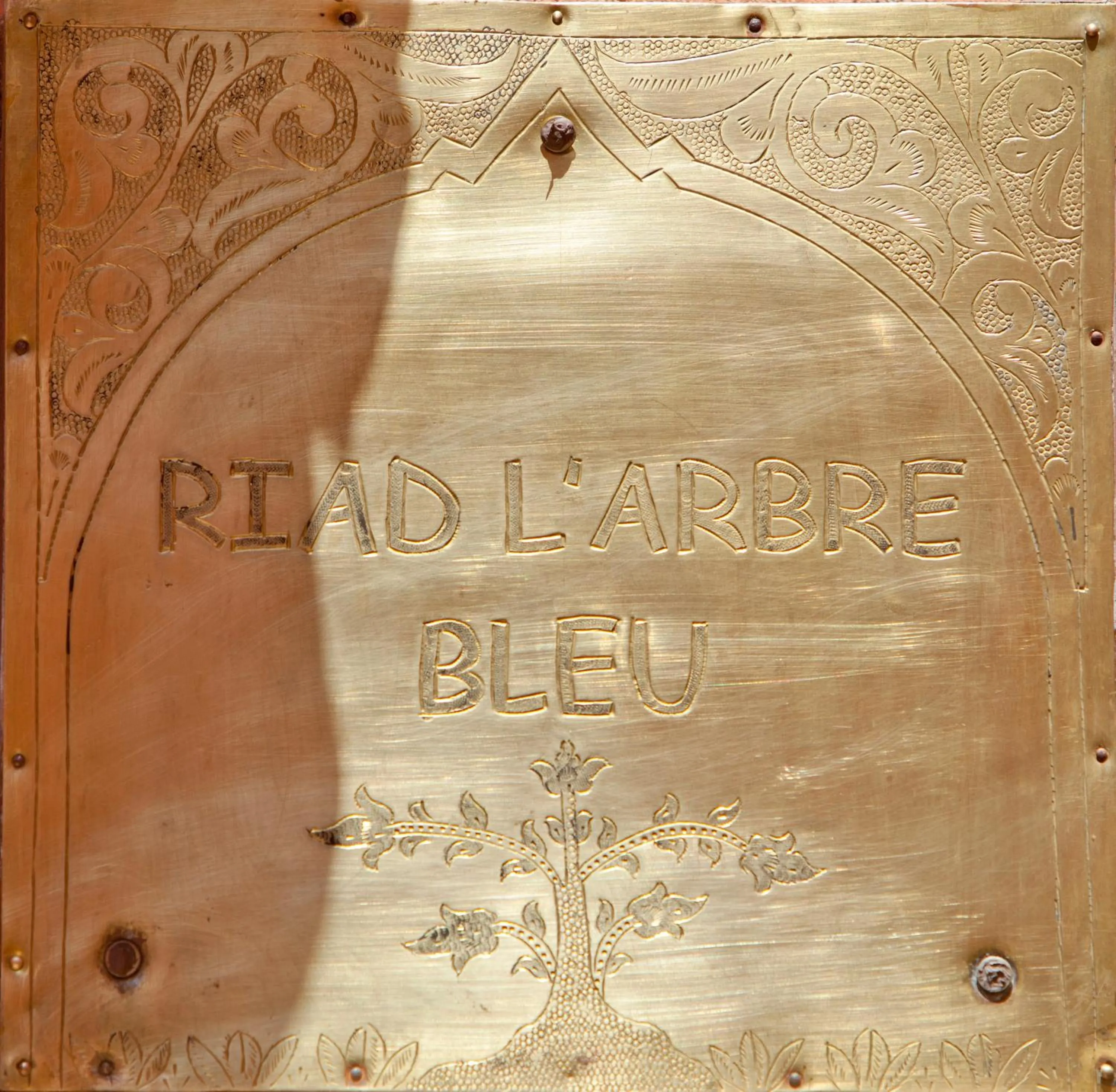 Logo/Certificate/Sign in Riad Arbre Bleu