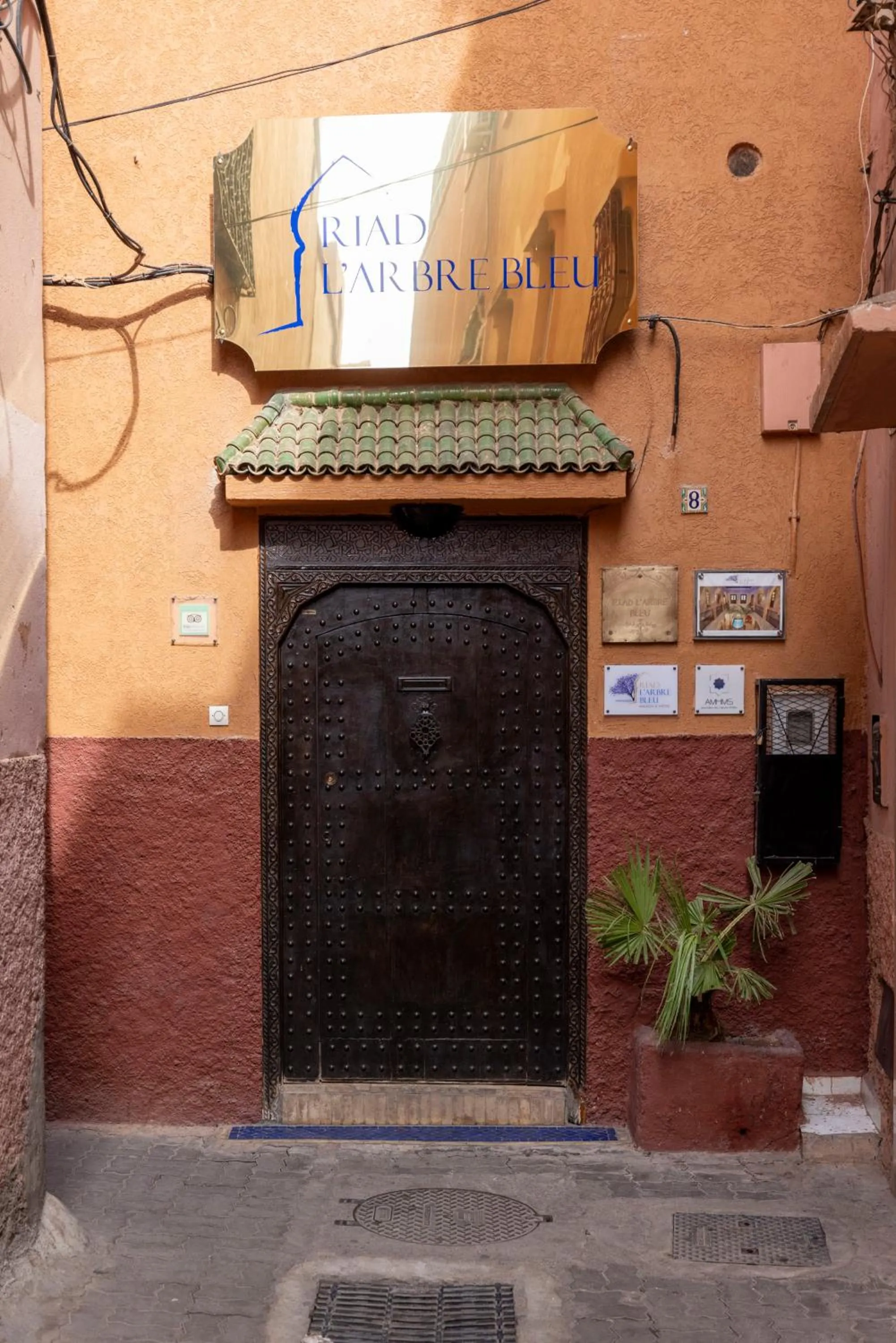 Property building in Riad Arbre Bleu