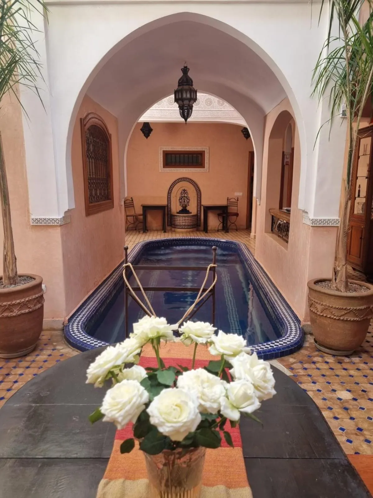 Pool view in Riad Arbre Bleu