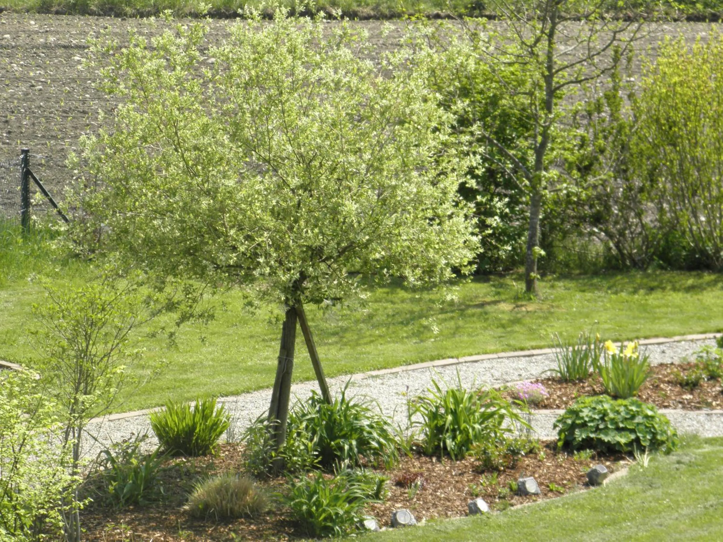 Garden in Herberts Stubn