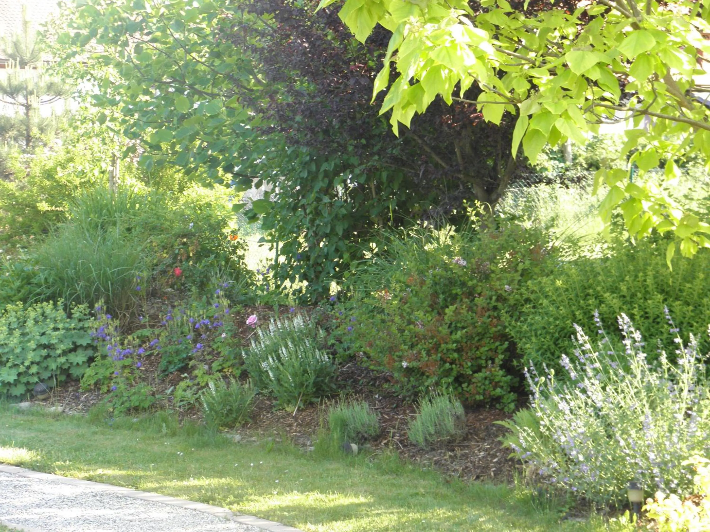 Natural landscape in Herberts Stubn