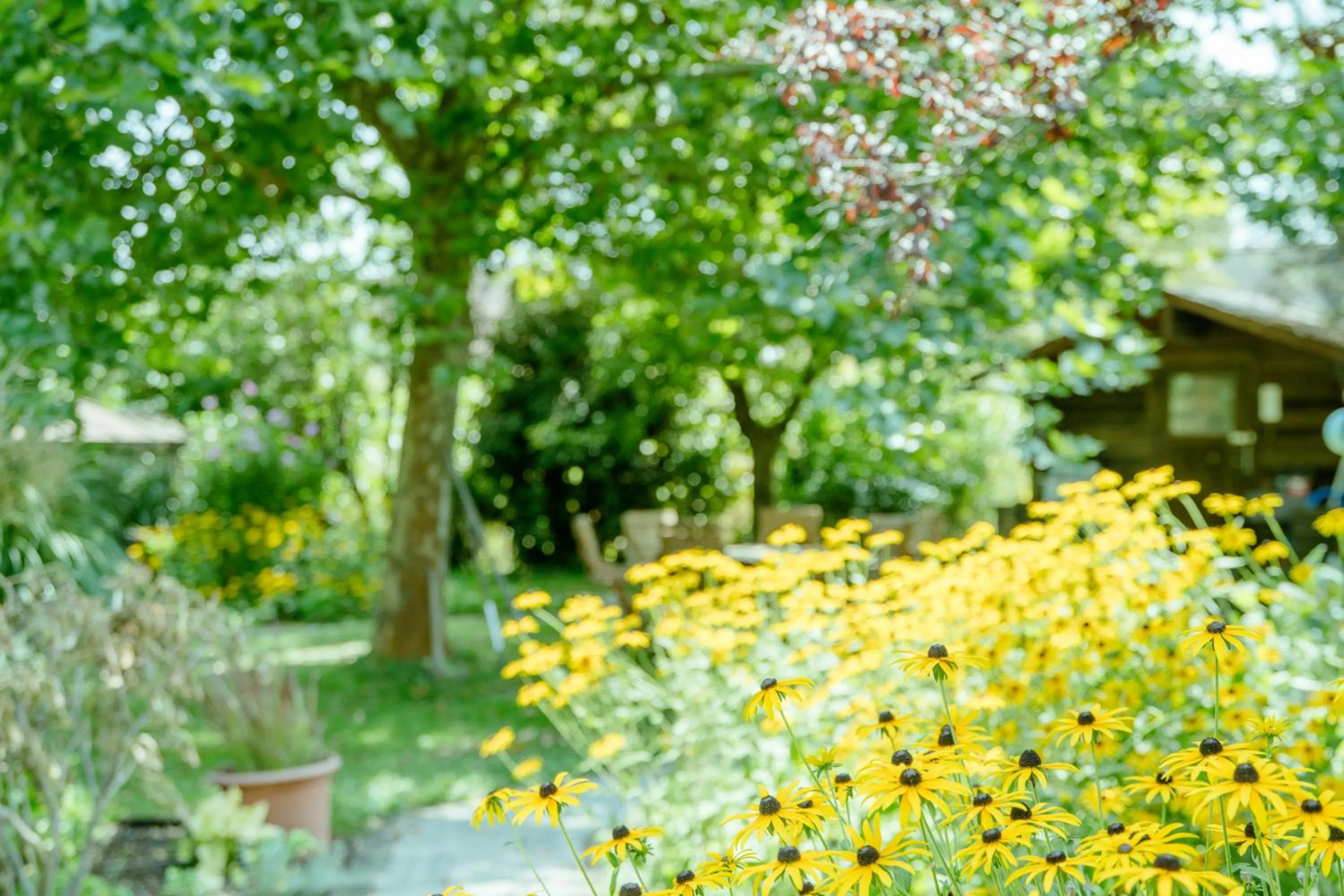 Natural landscape in Herberts Stubn