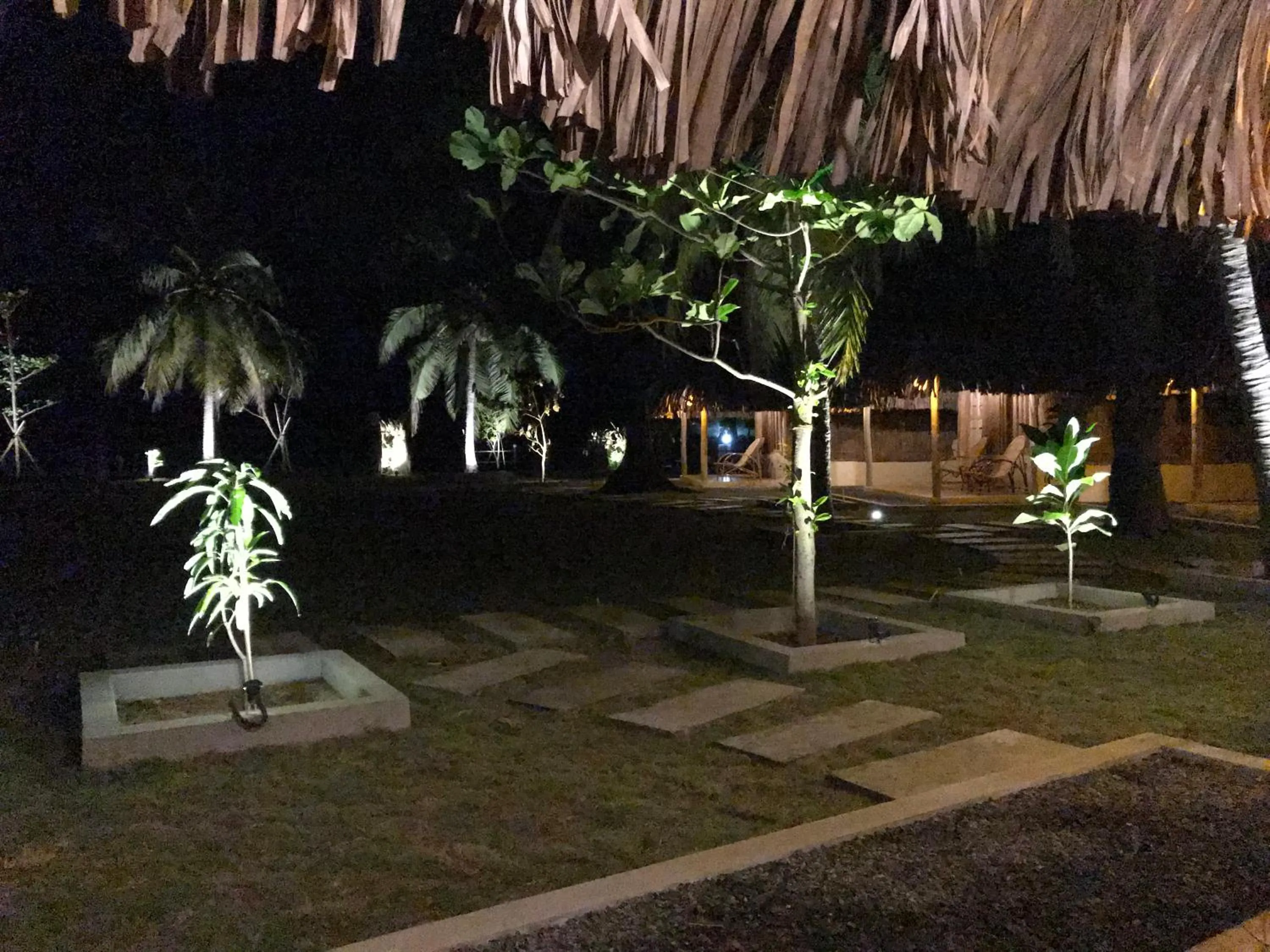 Garden in Royal Beach