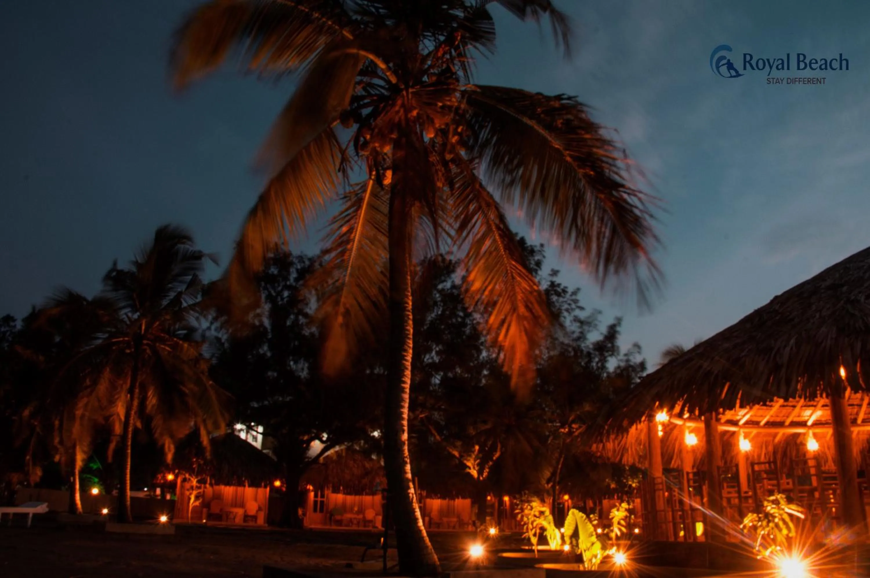 Night in Royal Beach