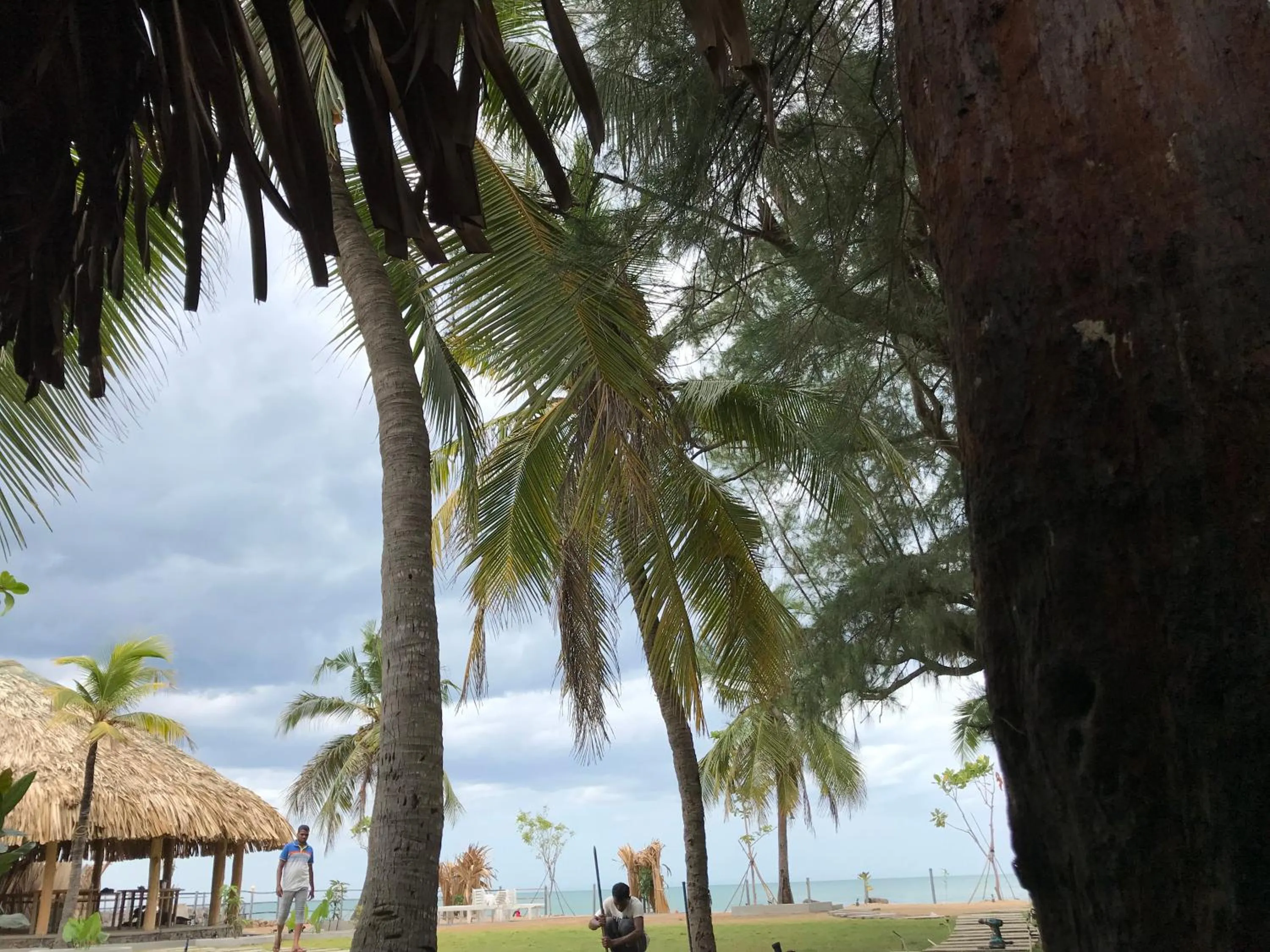 Natural landscape in Royal Beach
