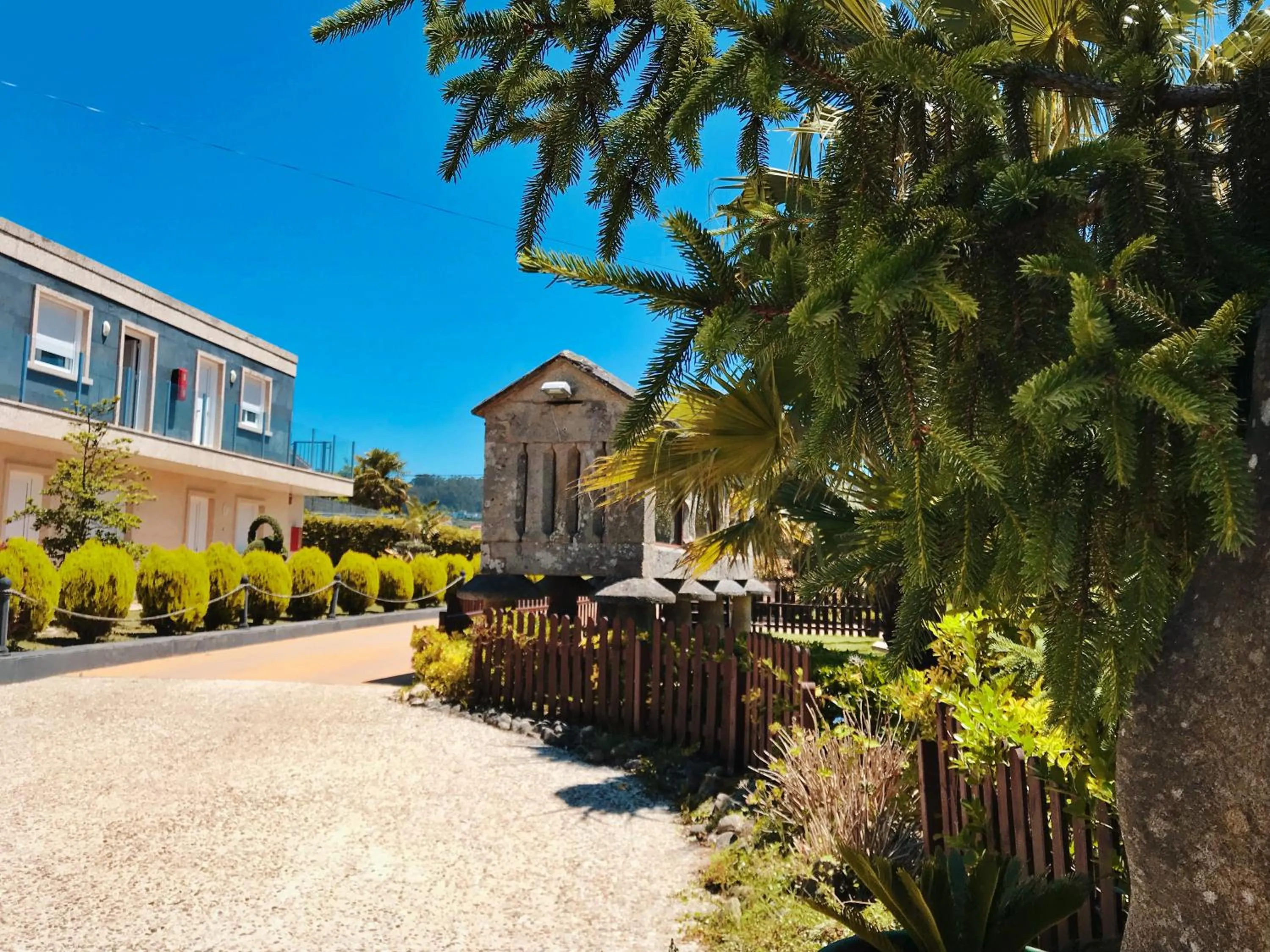 Garden in Hotel Conde Navío