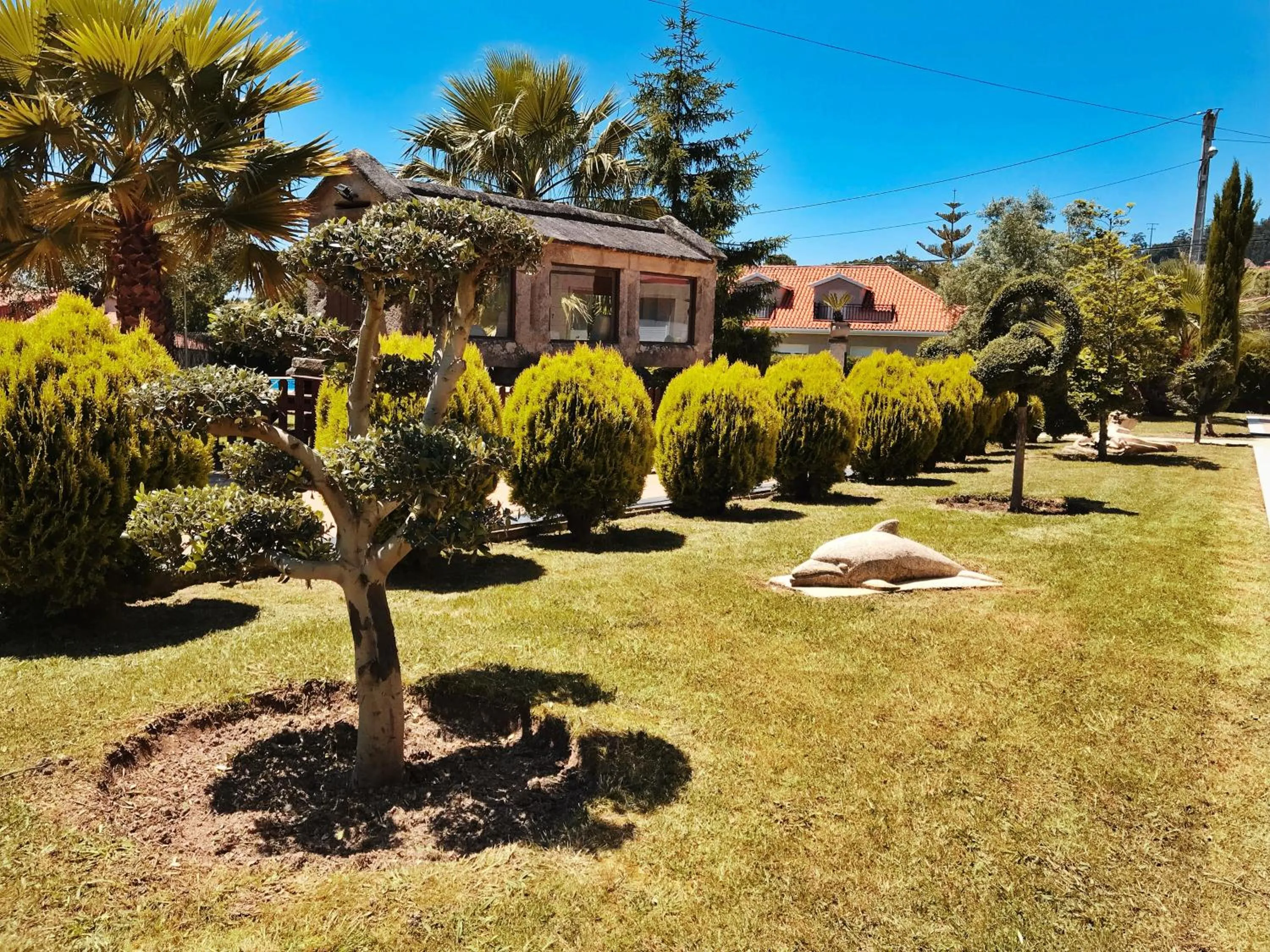 Garden in Hotel Conde Navío