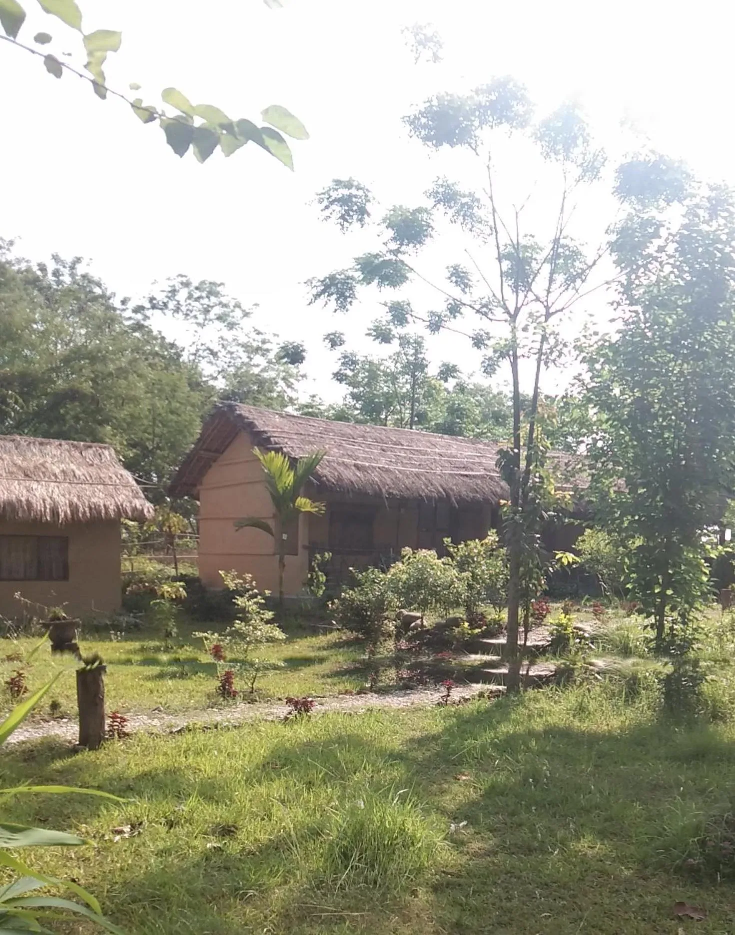 Chital lodge