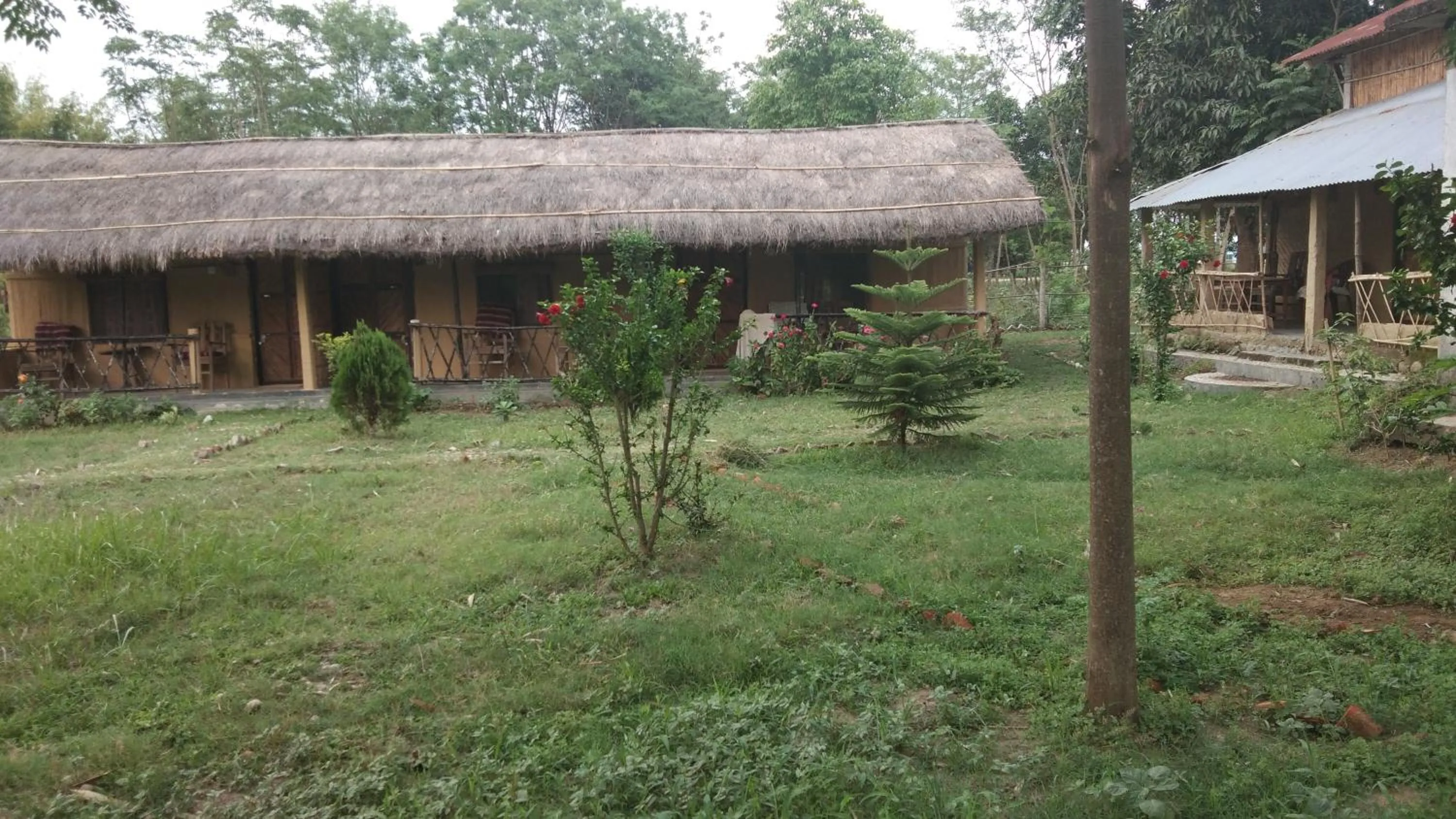 Chital lodge