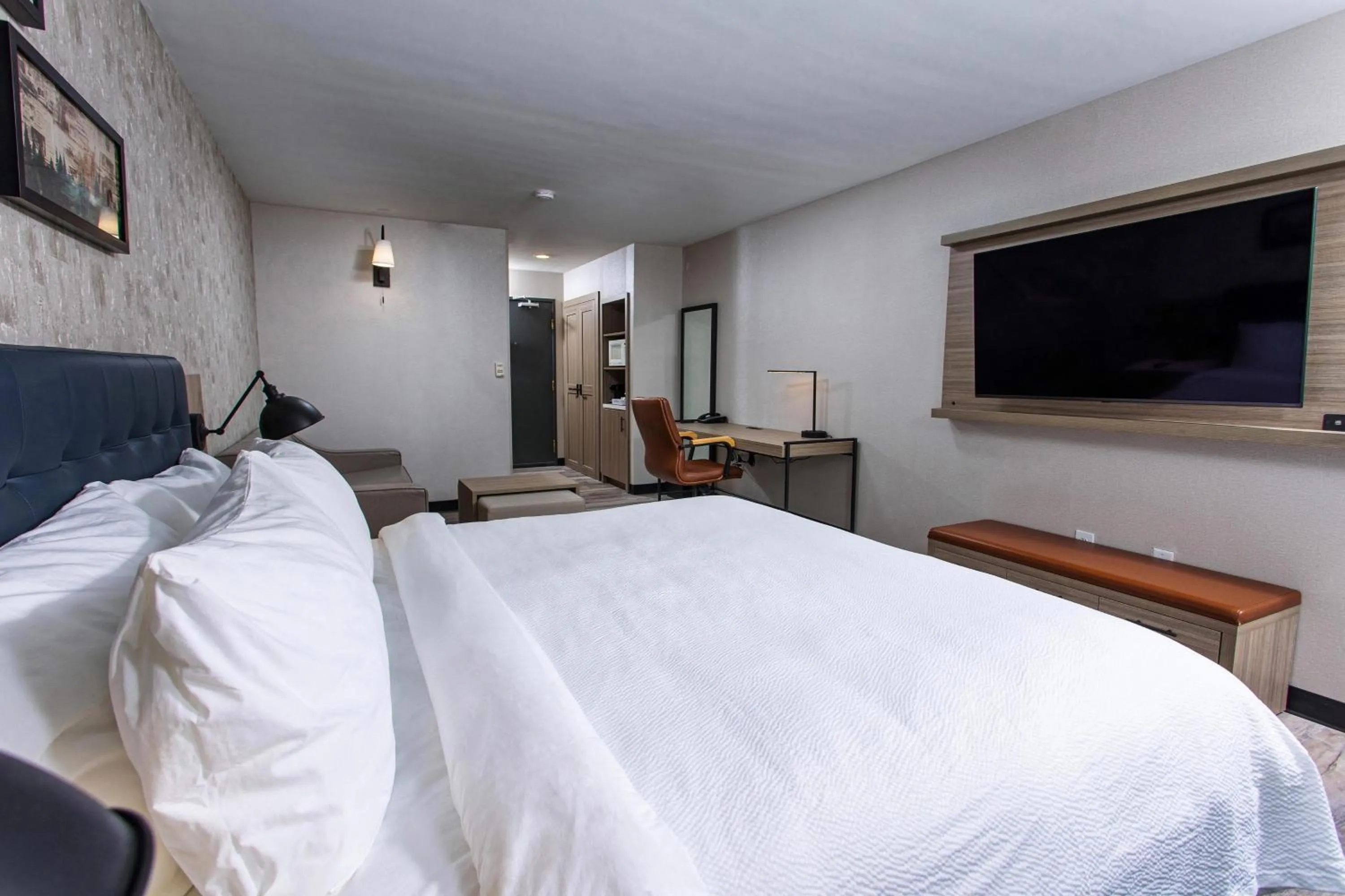 Photo of the whole room, Bed in Four Points by Sheraton Appleton