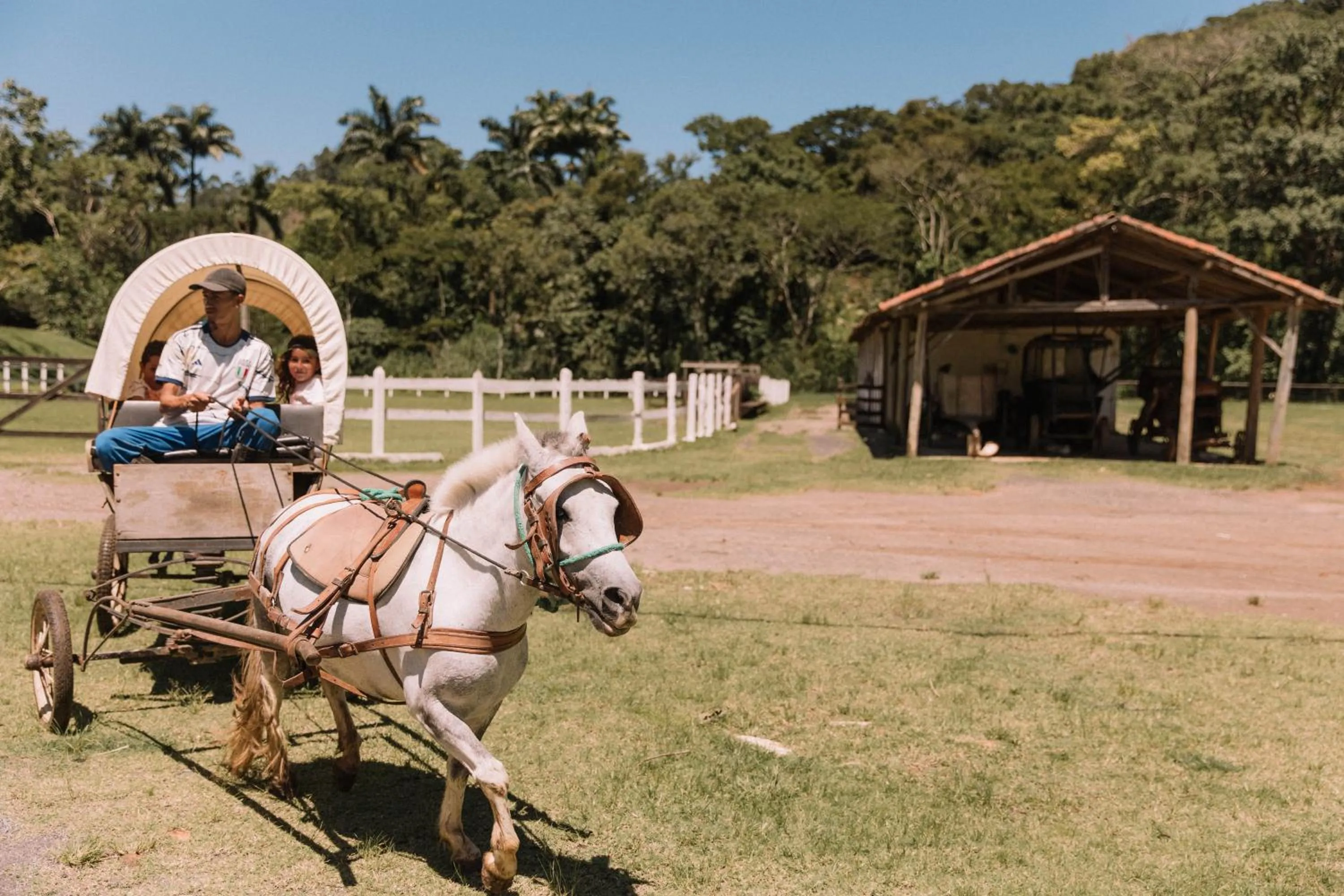 Day in Resort Fazenda 3 Pinheiros