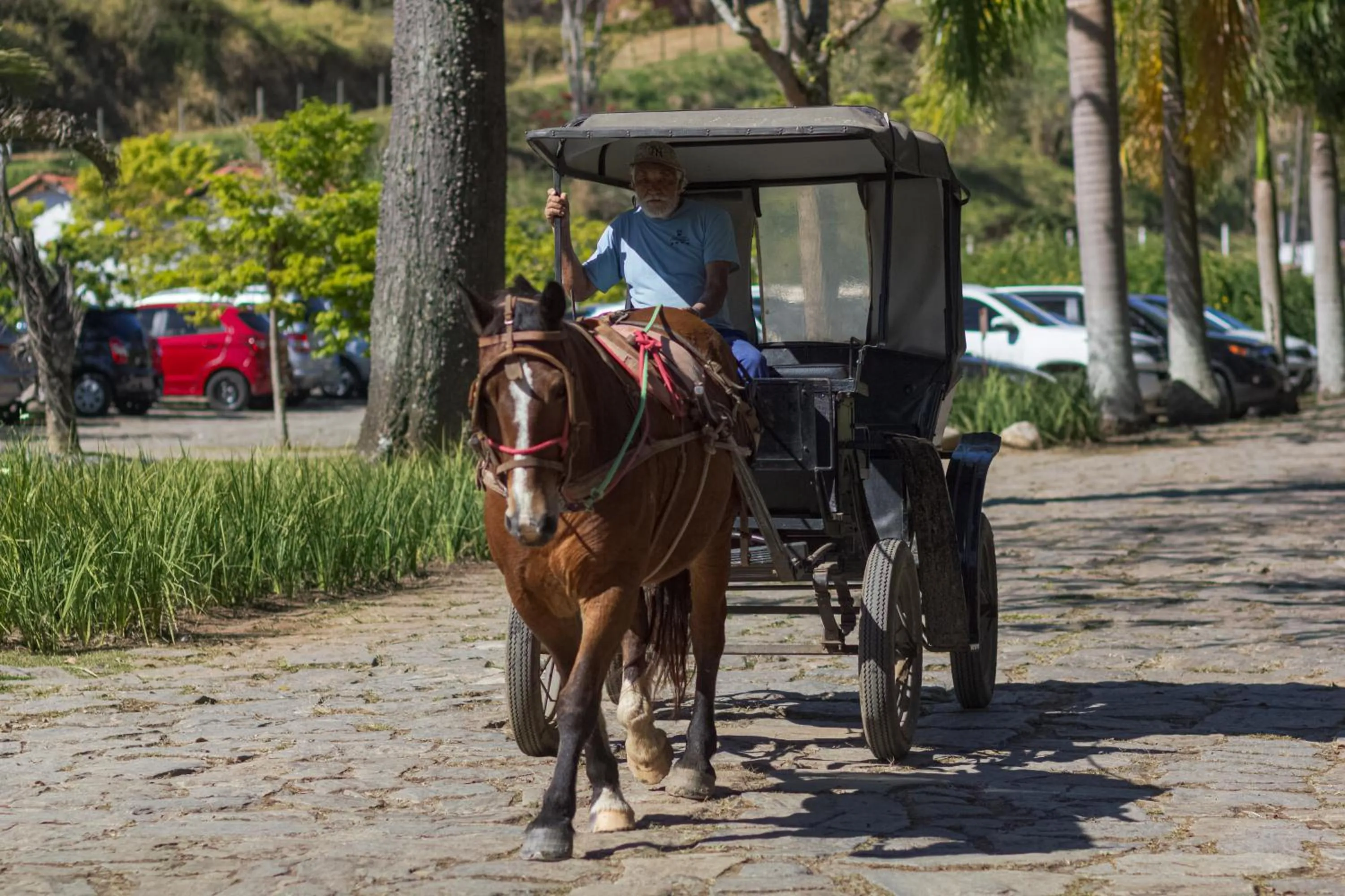 Horse-riding in Resort Fazenda 3 Pinheiros