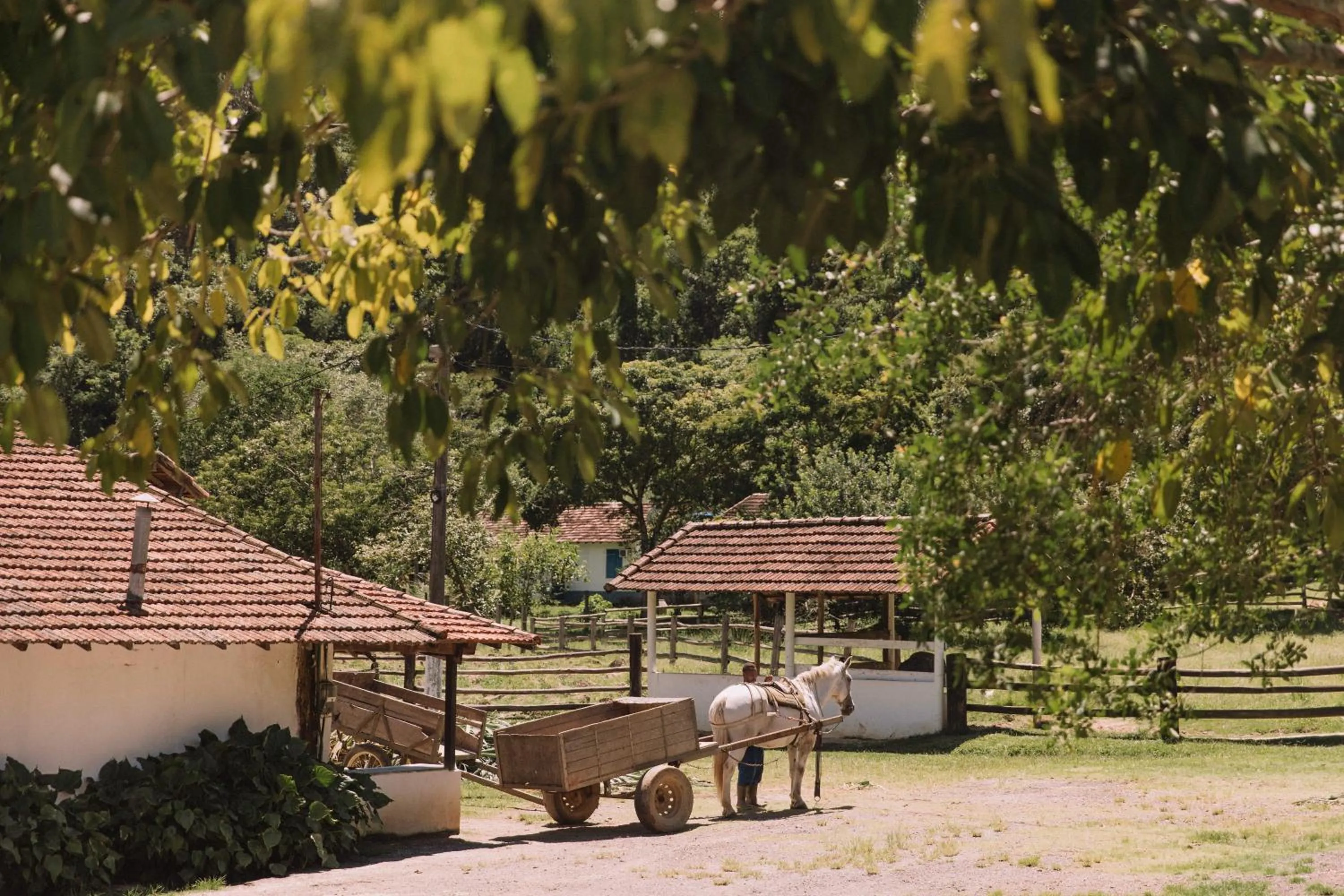 Spring in Resort Fazenda 3 Pinheiros