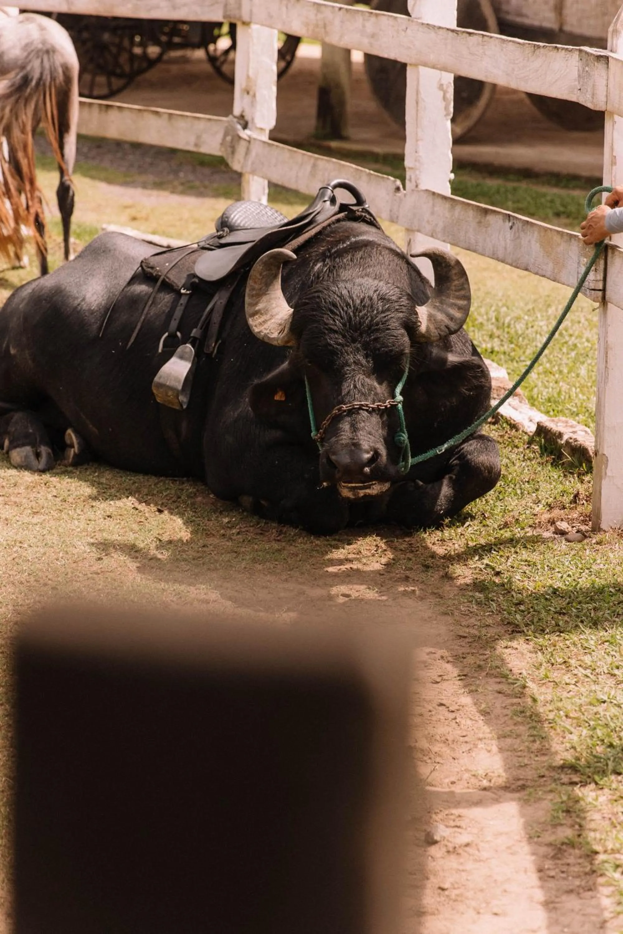 Resort Fazenda 3 Pinheiros