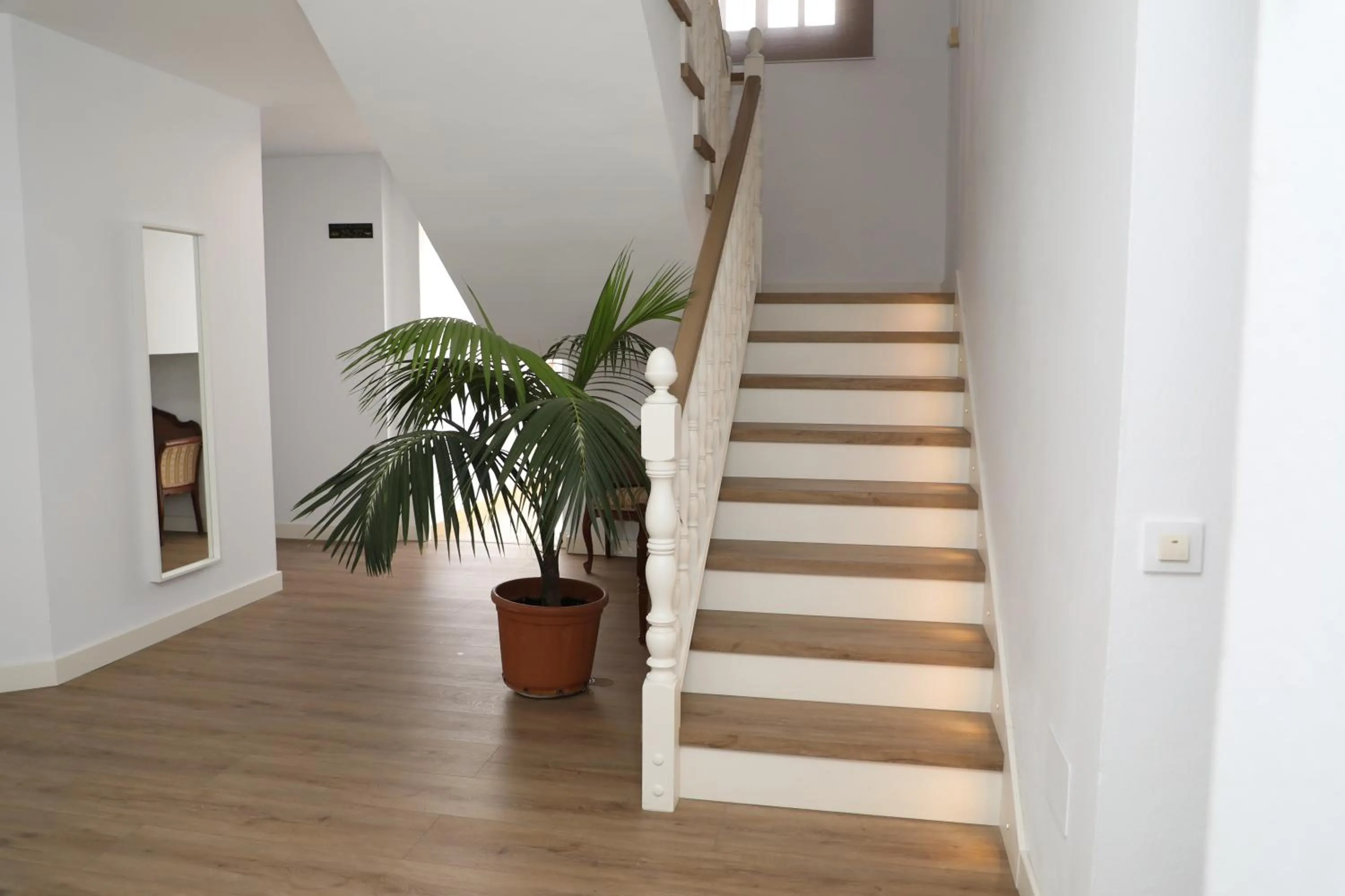 Area and facilities in La Janda