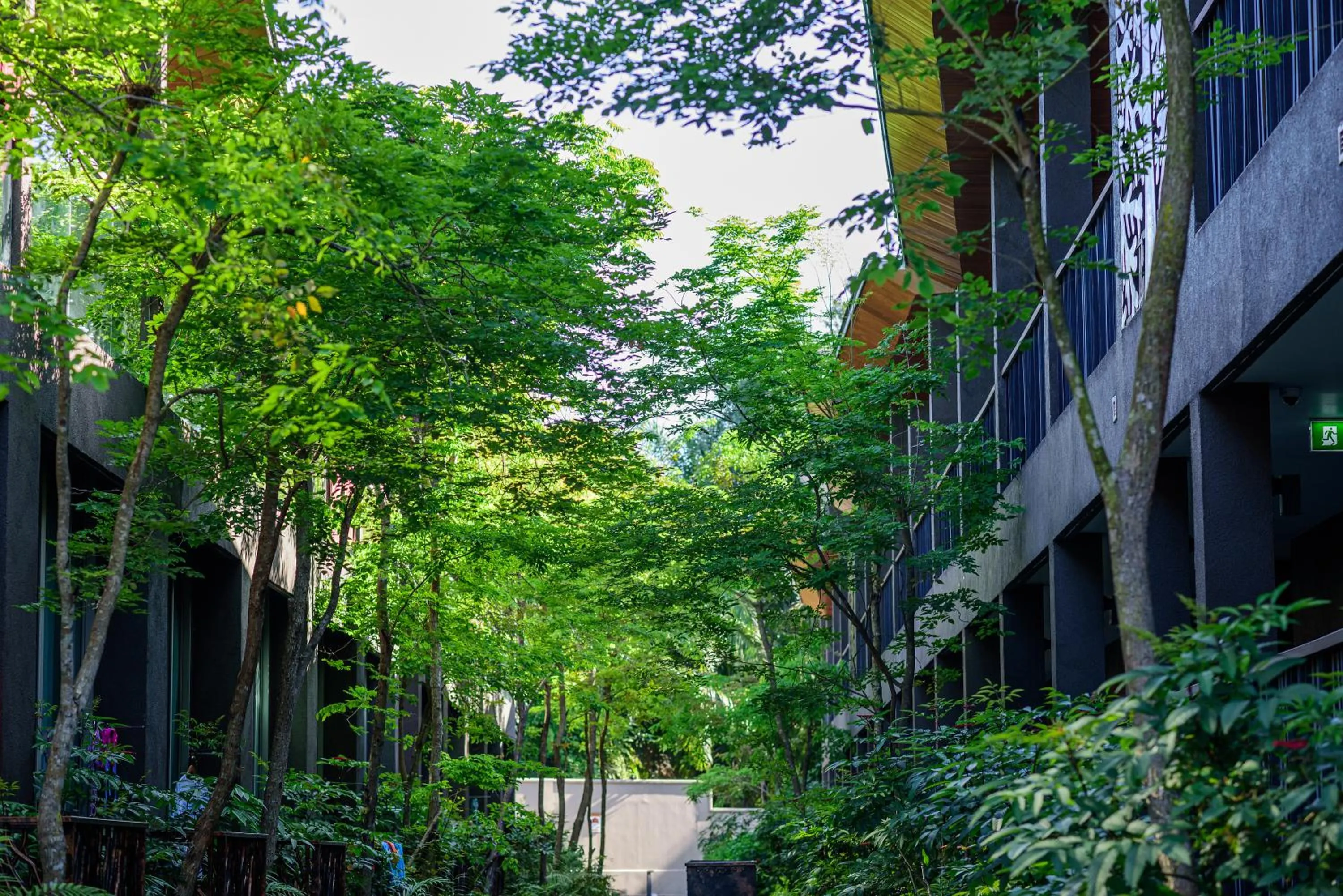View (from property/room) in Kalima Resort and Villas Khao Lak