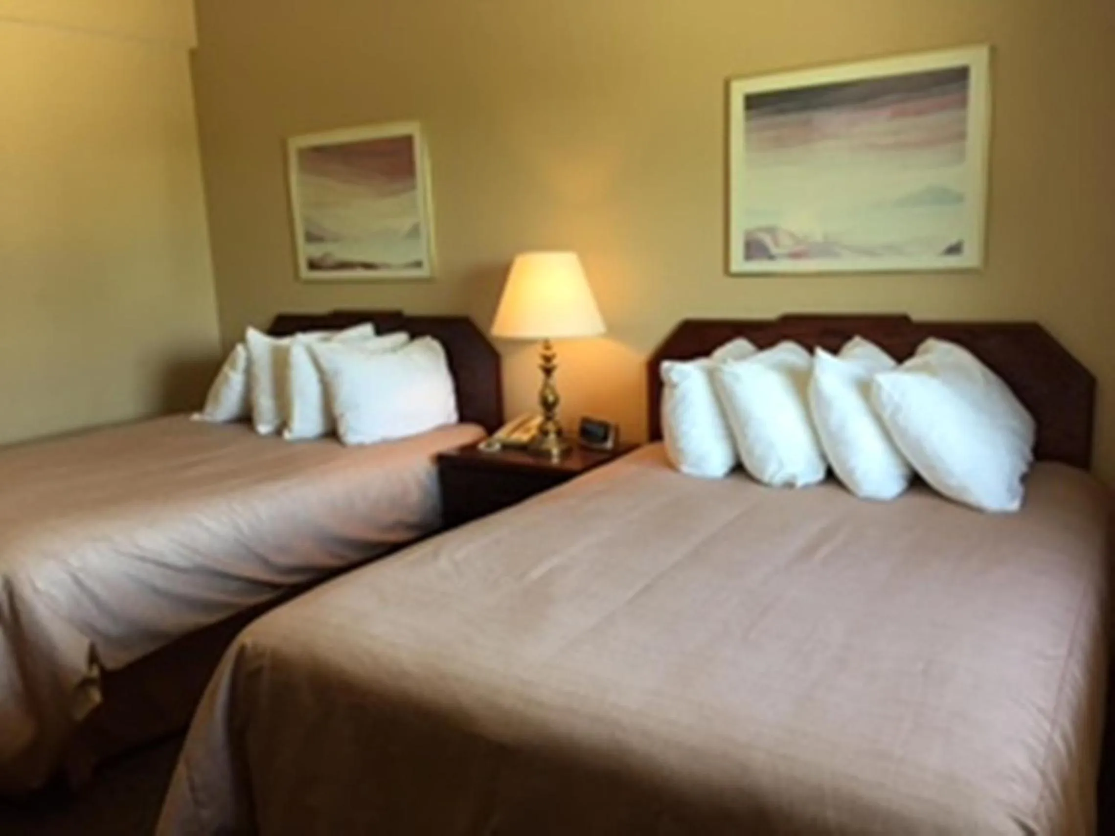 Bed in Assiniboine Gordon Inn on the Park